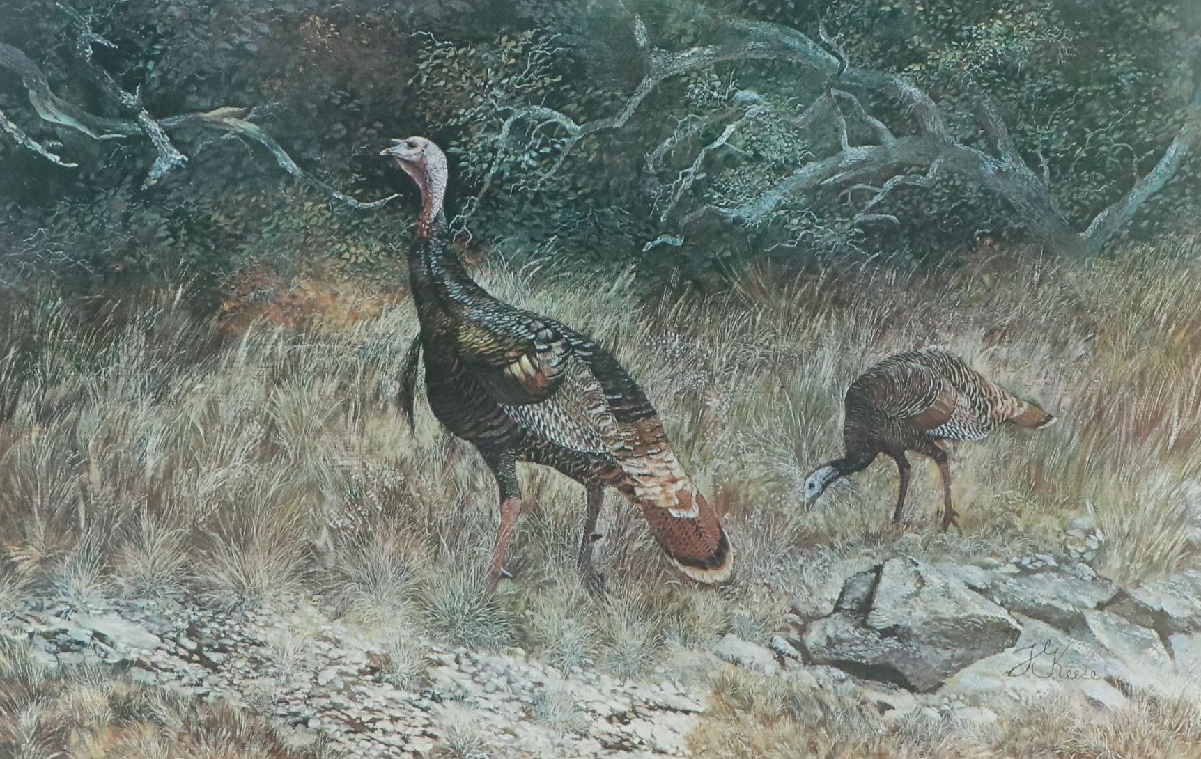 Offset Lithograph After Travis Keese "Wild Turkey," Mid-20th to 21st Century