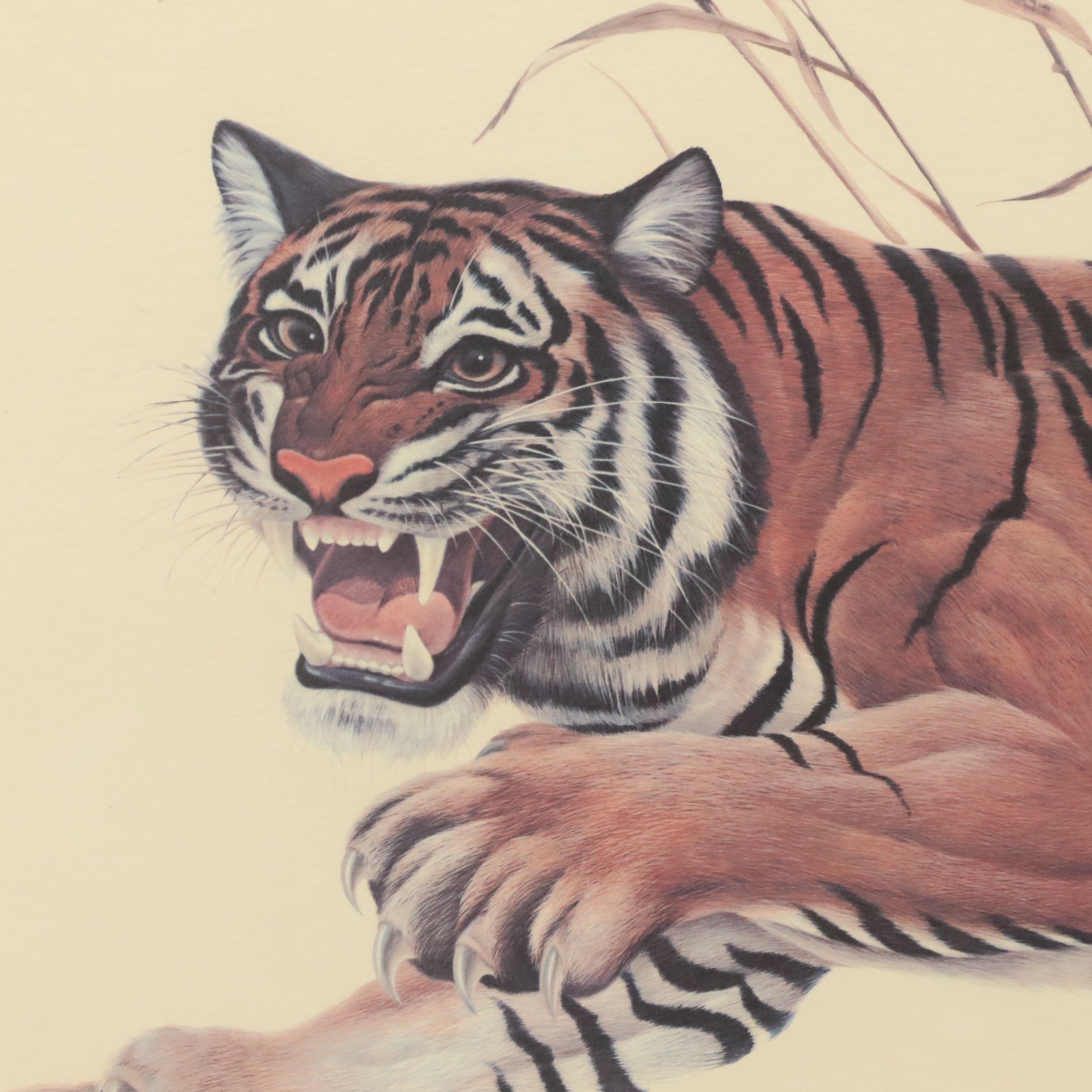 John Ruthven Offset Lithograph "Bengal Tiger," 1968