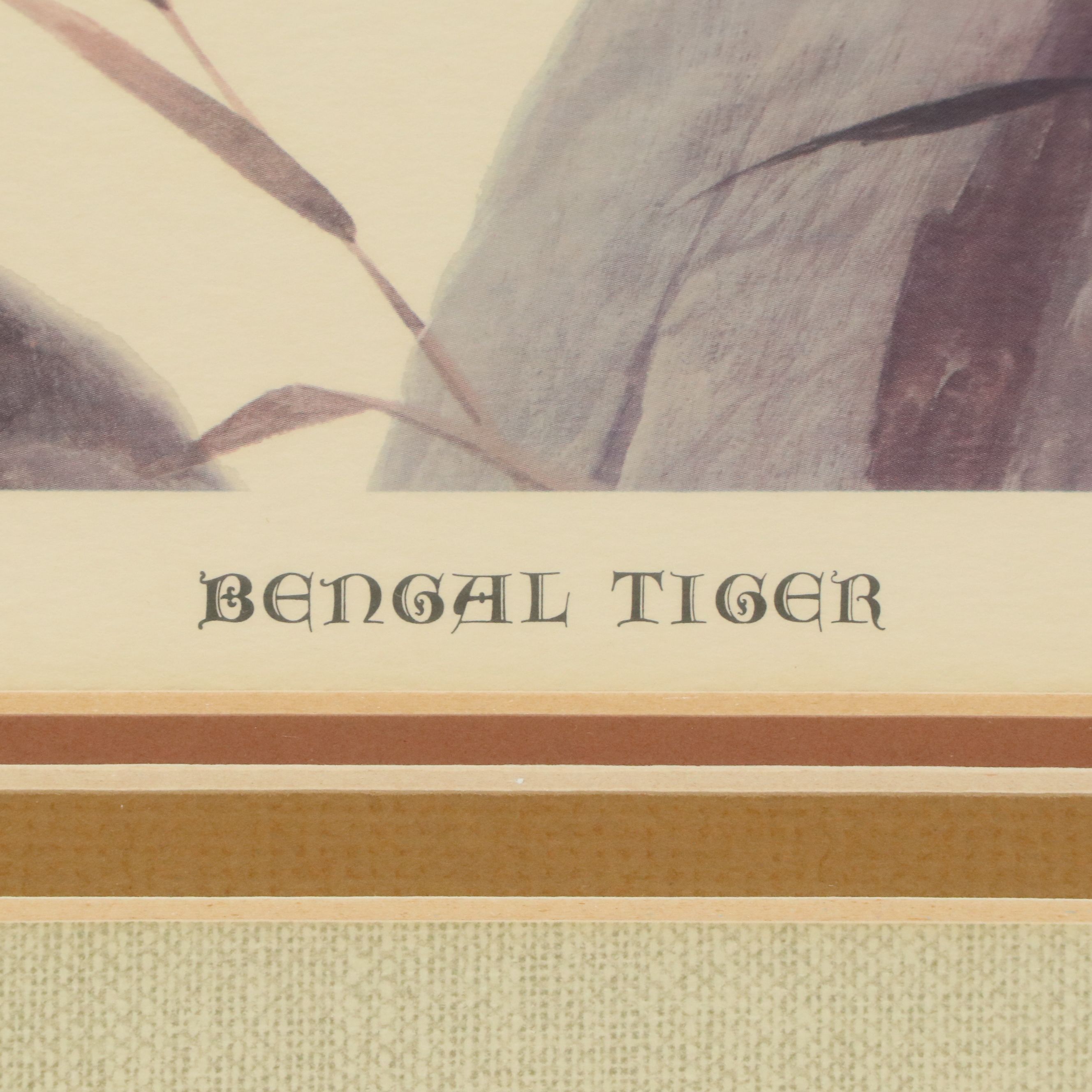John Ruthven Offset Lithograph "Bengal Tiger," 1968