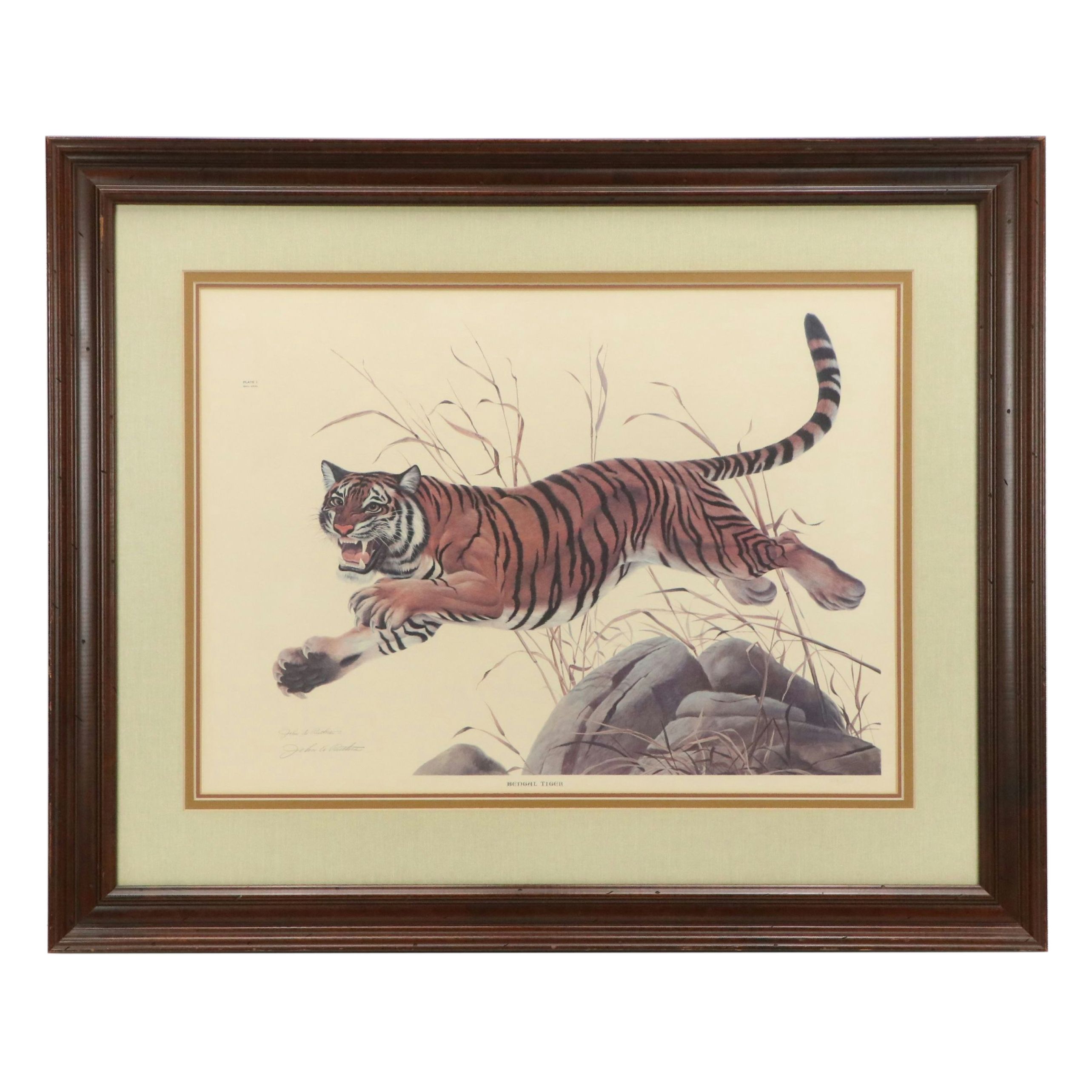 John Ruthven Offset Lithograph "Bengal Tiger," 1968