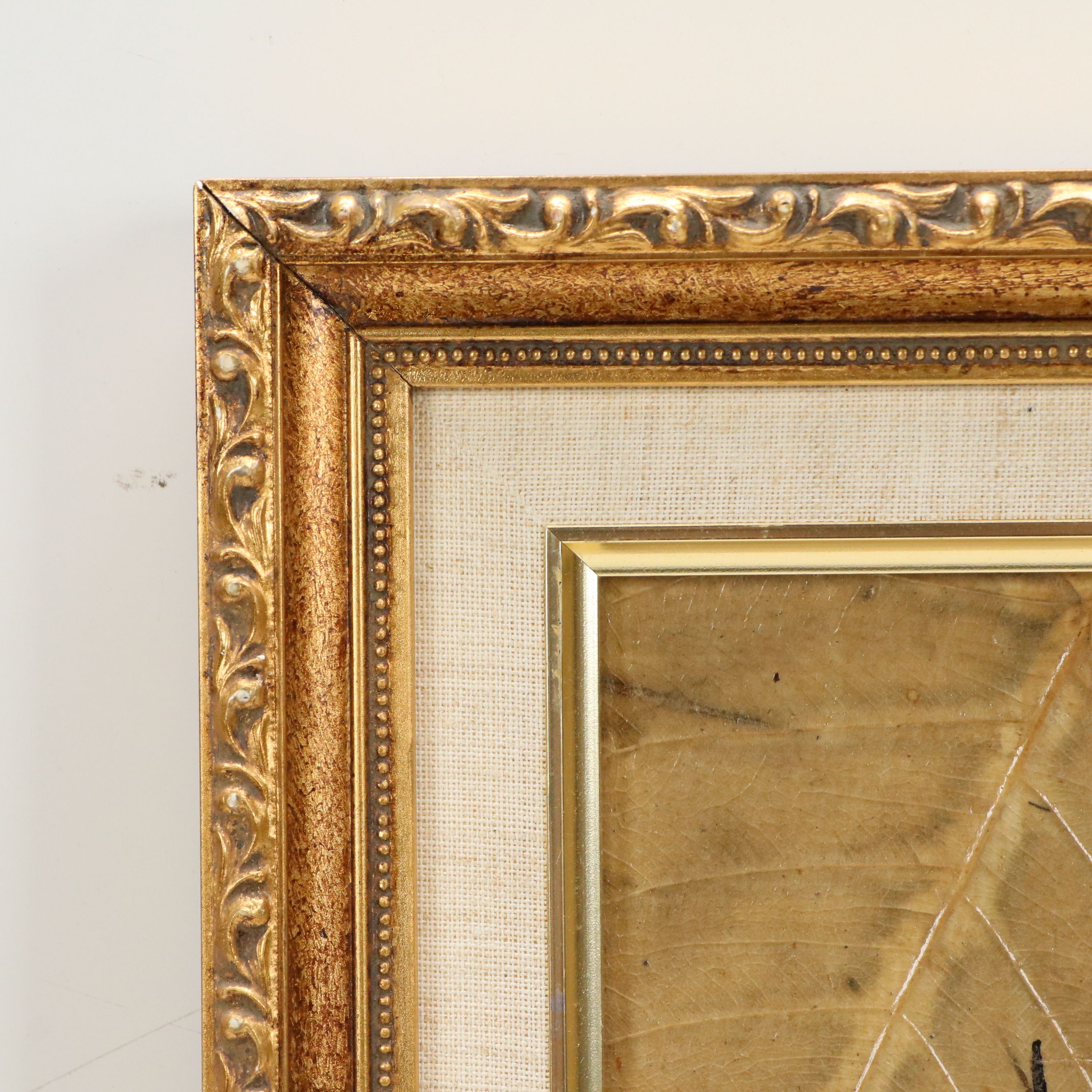 Gris Oil Paintings on Tobacco Leaves of Colorful Birds, Mid to Late 20th Century