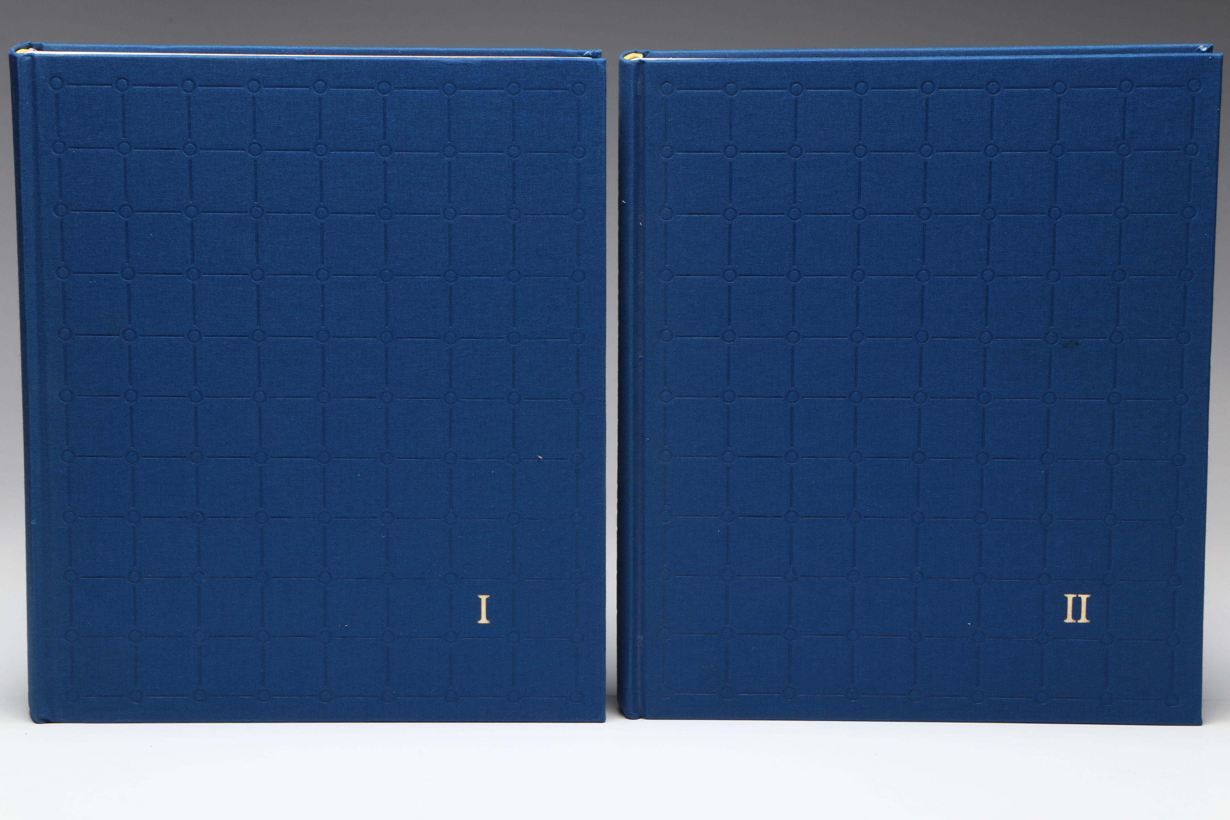 First Edition "The Art of Florence" Two-Volume Box Set by Glenn Andres et al.