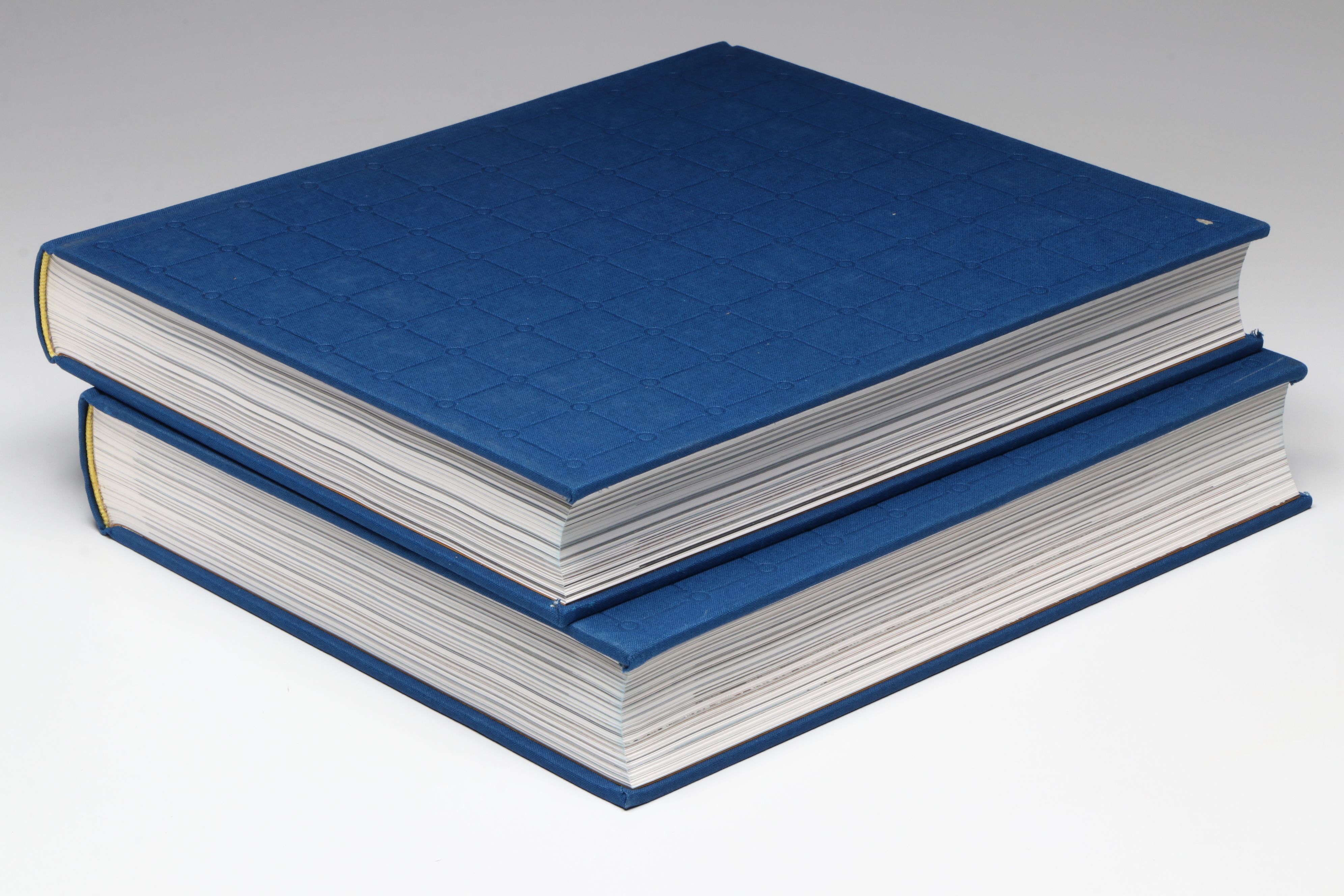 First Edition "The Art of Florence" Two-Volume Box Set by Glenn Andres et al.