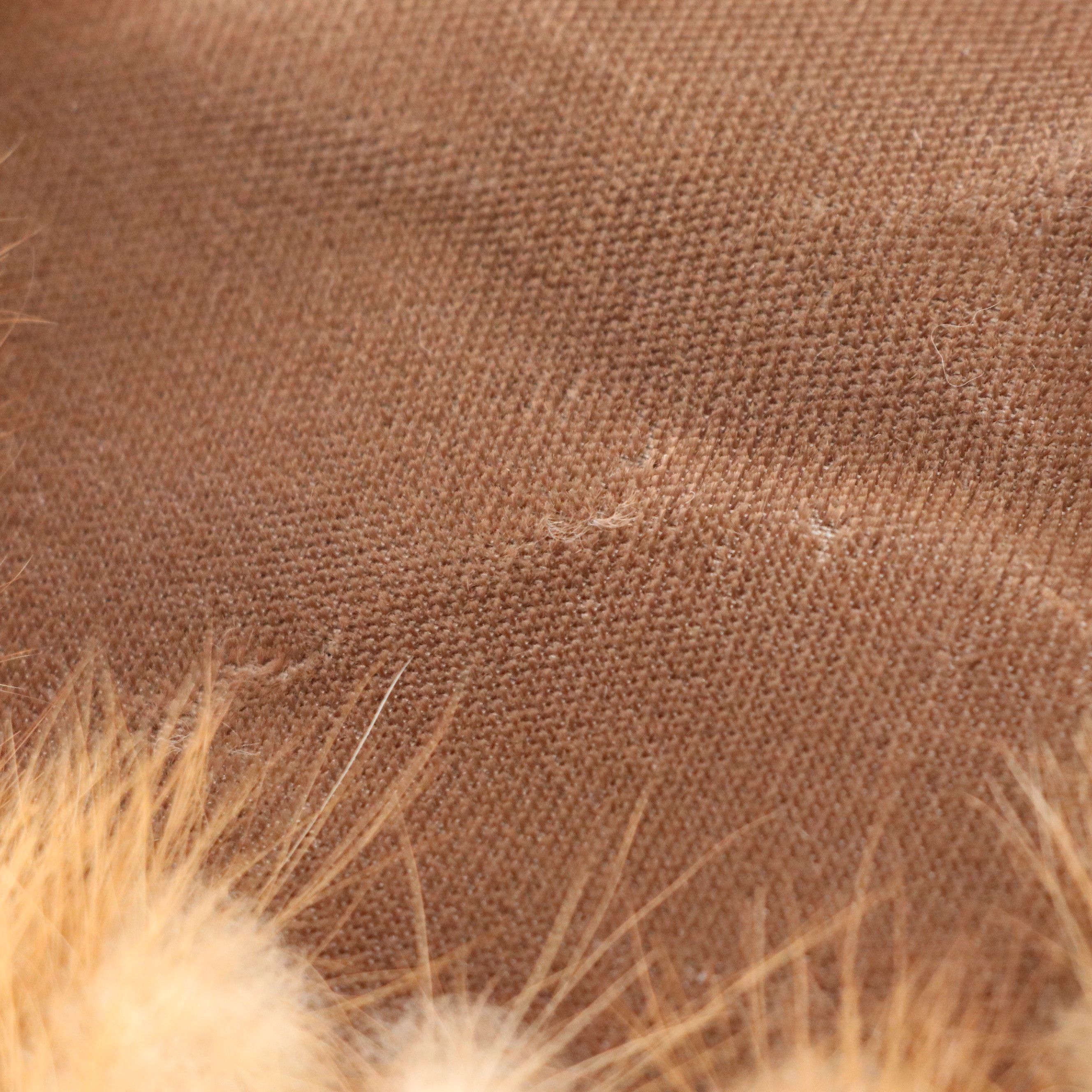 Mink Paw Fur/Feather Pillbox Hat and Mink Fur Collar, Mid-20th Century