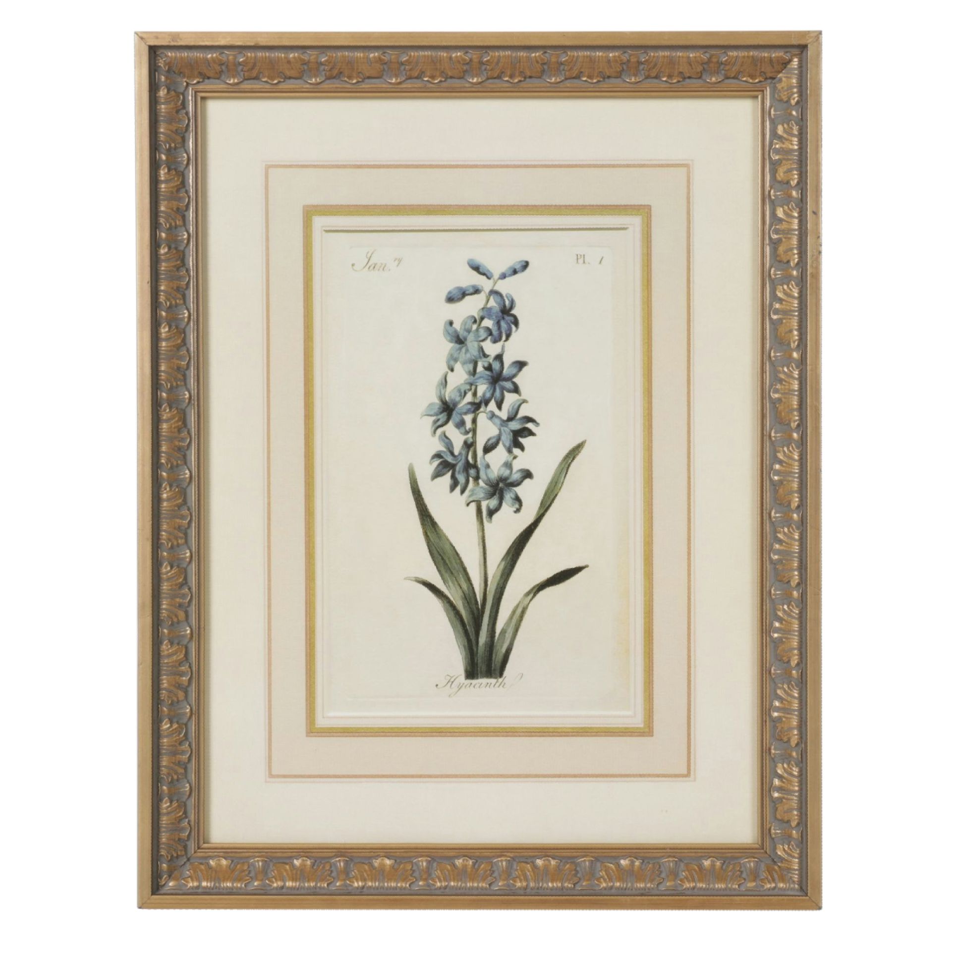 Offset Lithograph After Carington Bowles "Hyacinth", Late 20th Century