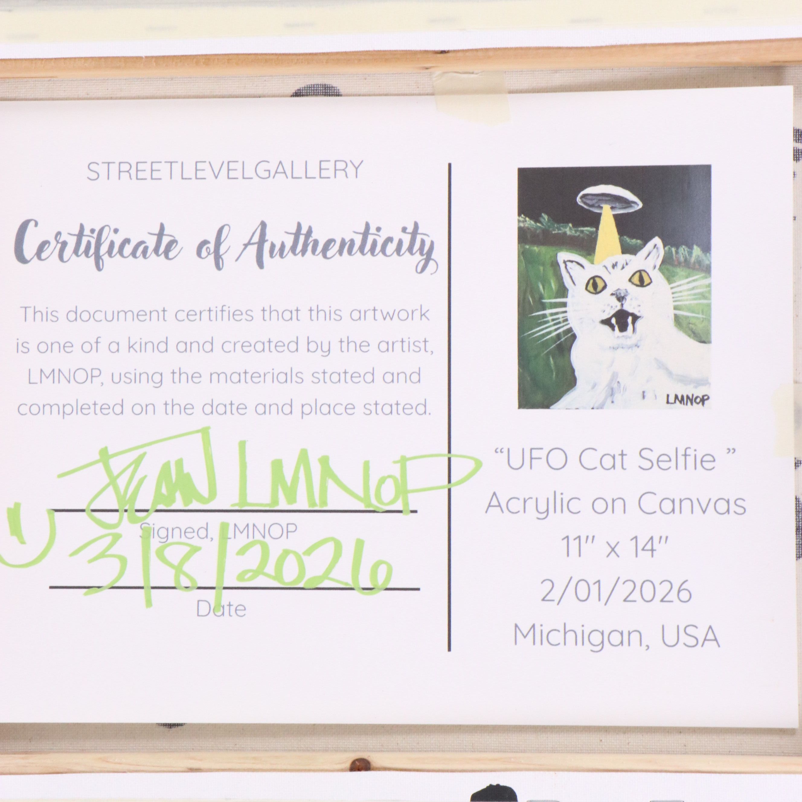 Jean LMNOP Acrylic Painting "UFO Cat Selfie," 2026