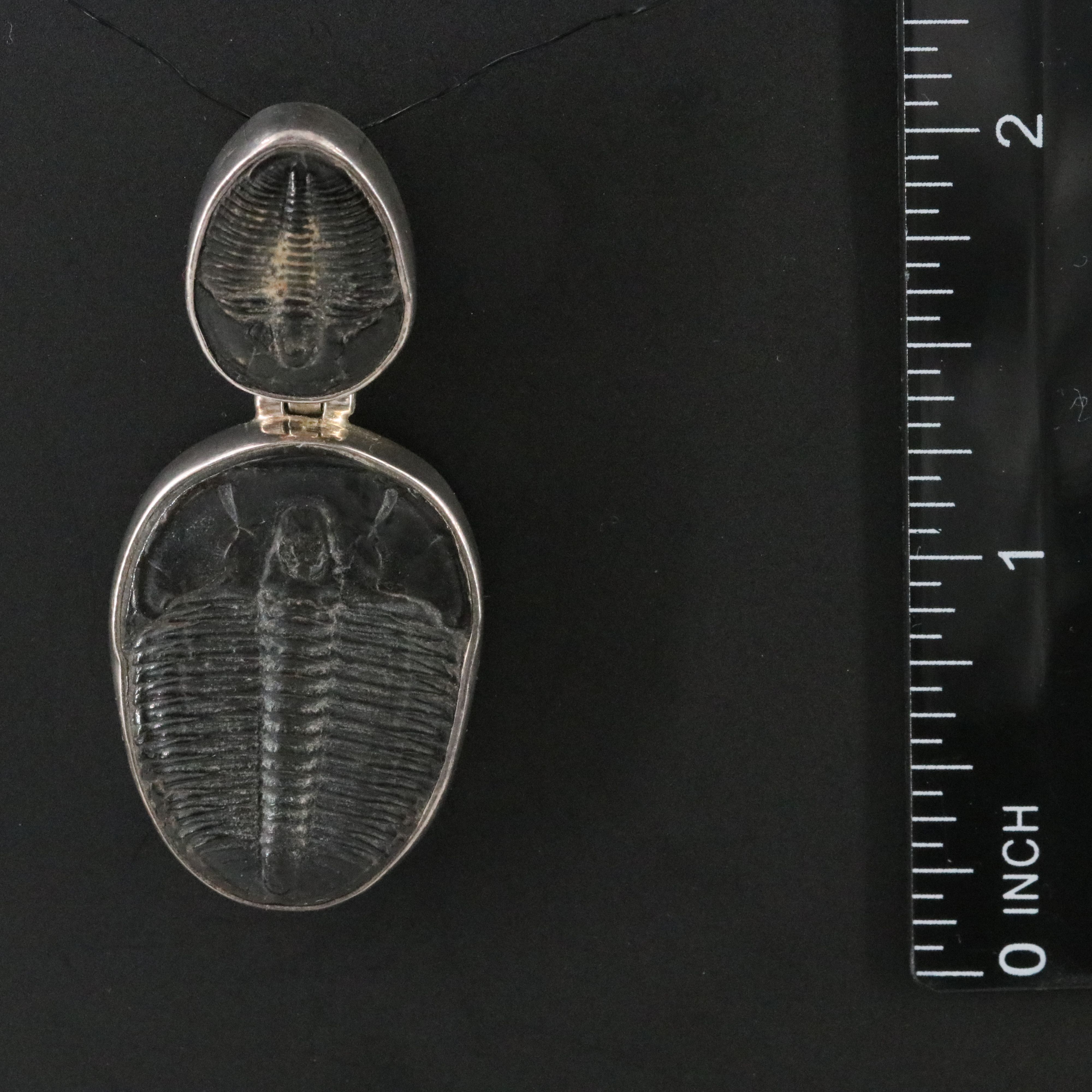Charles Albert 950 Silver Double Trilobite Pendant