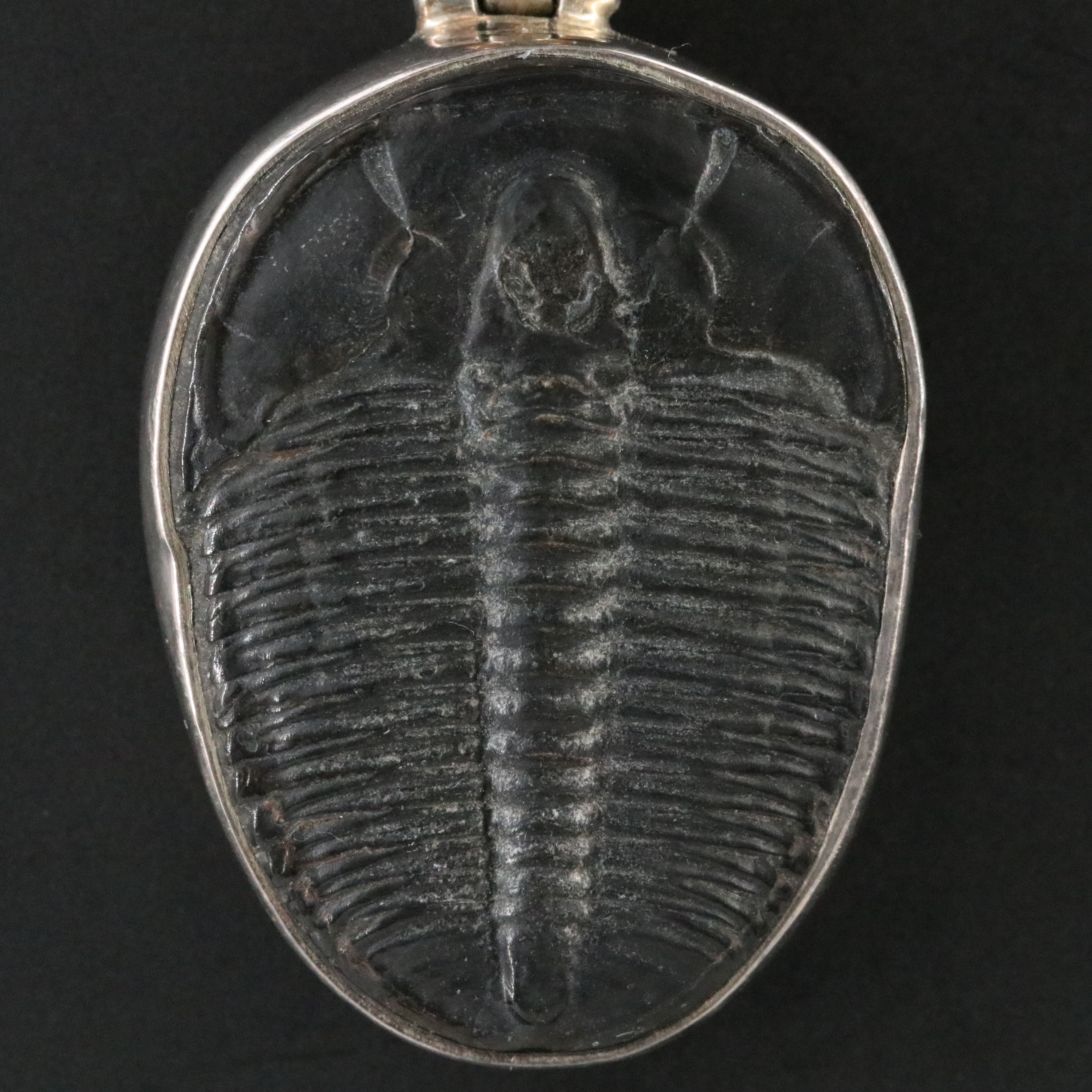 Charles Albert 950 Silver Double Trilobite Pendant