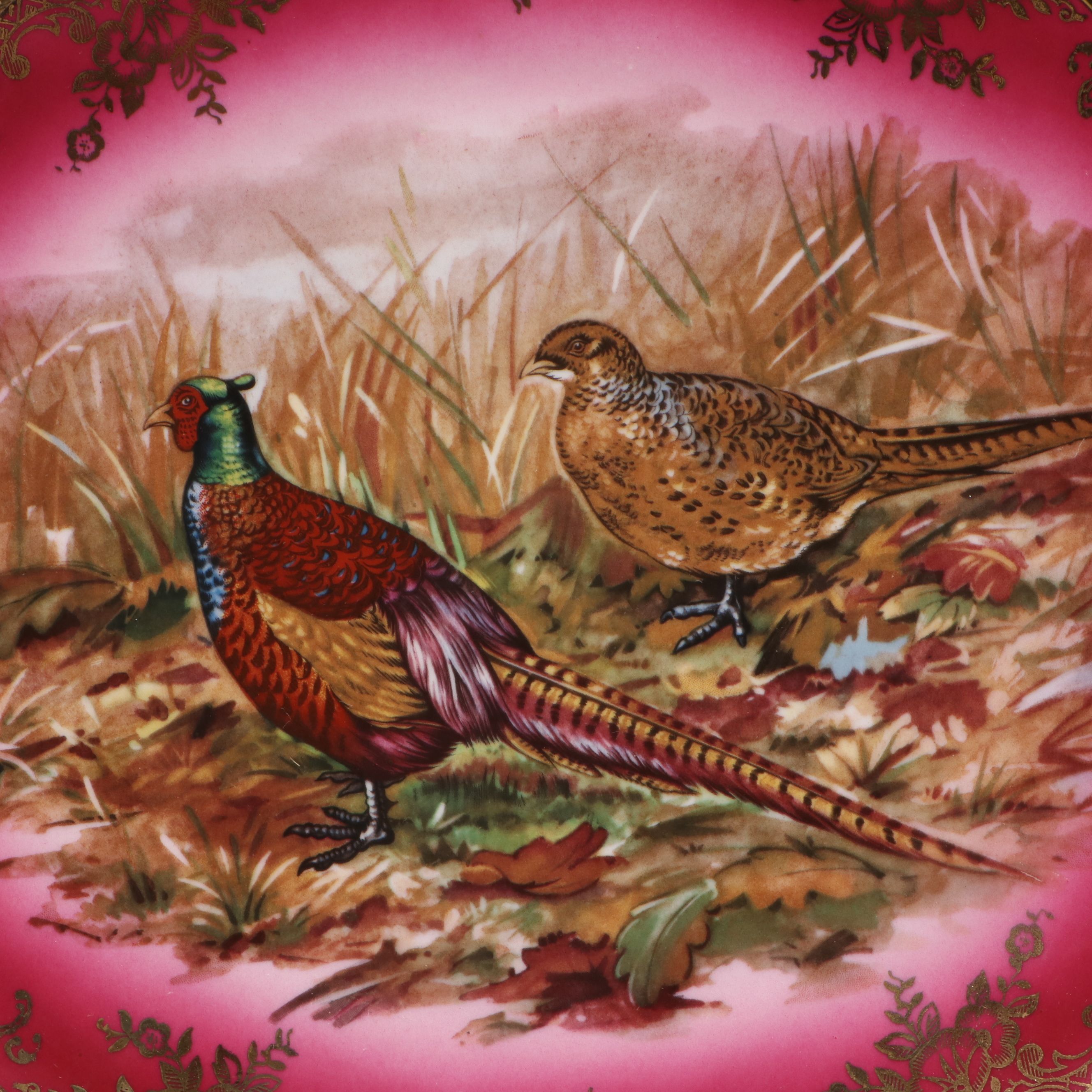 STW Bavaria Porcelain Game Bird Wall Plate with Japanese Peacock Plate