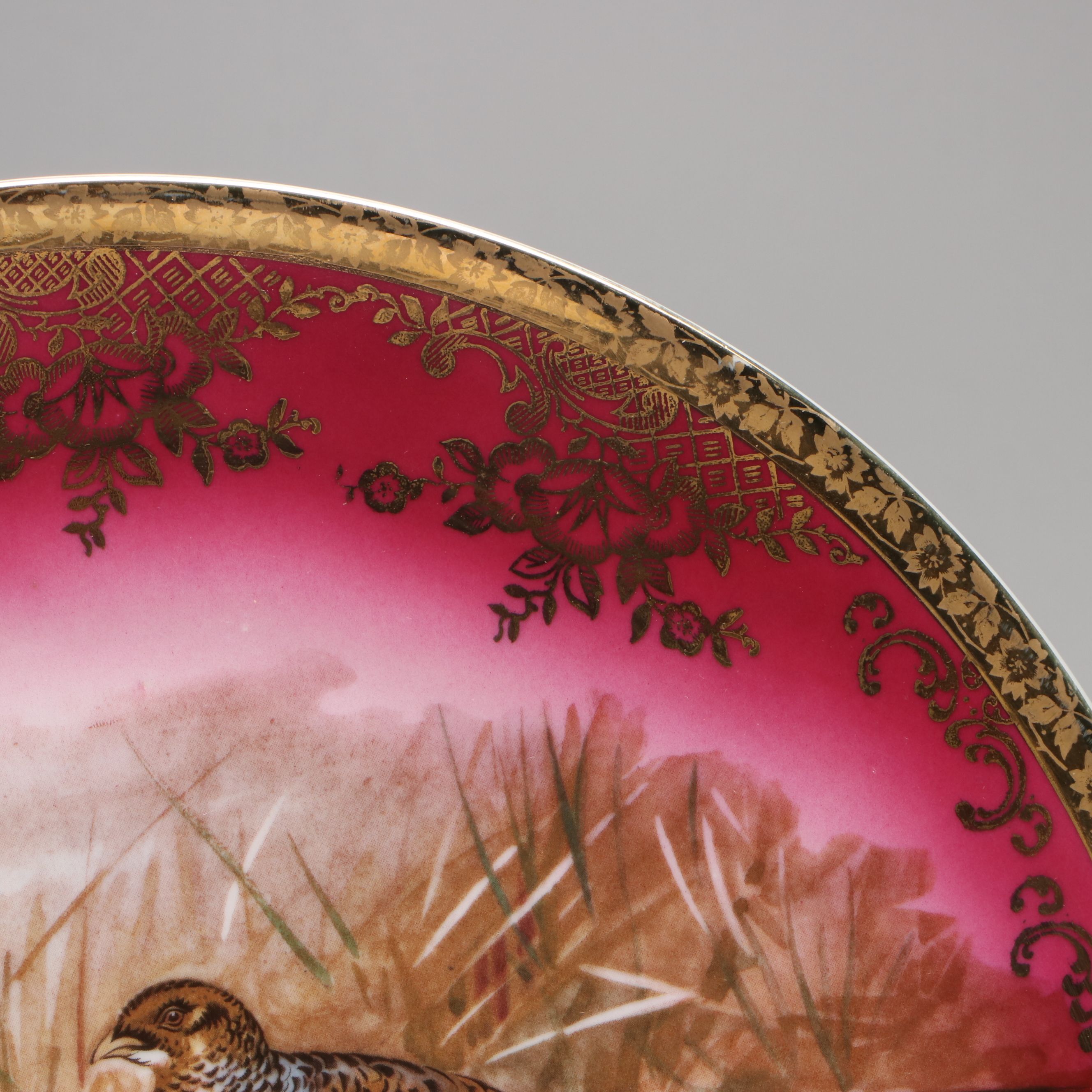 STW Bavaria Porcelain Game Bird Wall Plate with Japanese Peacock Plate