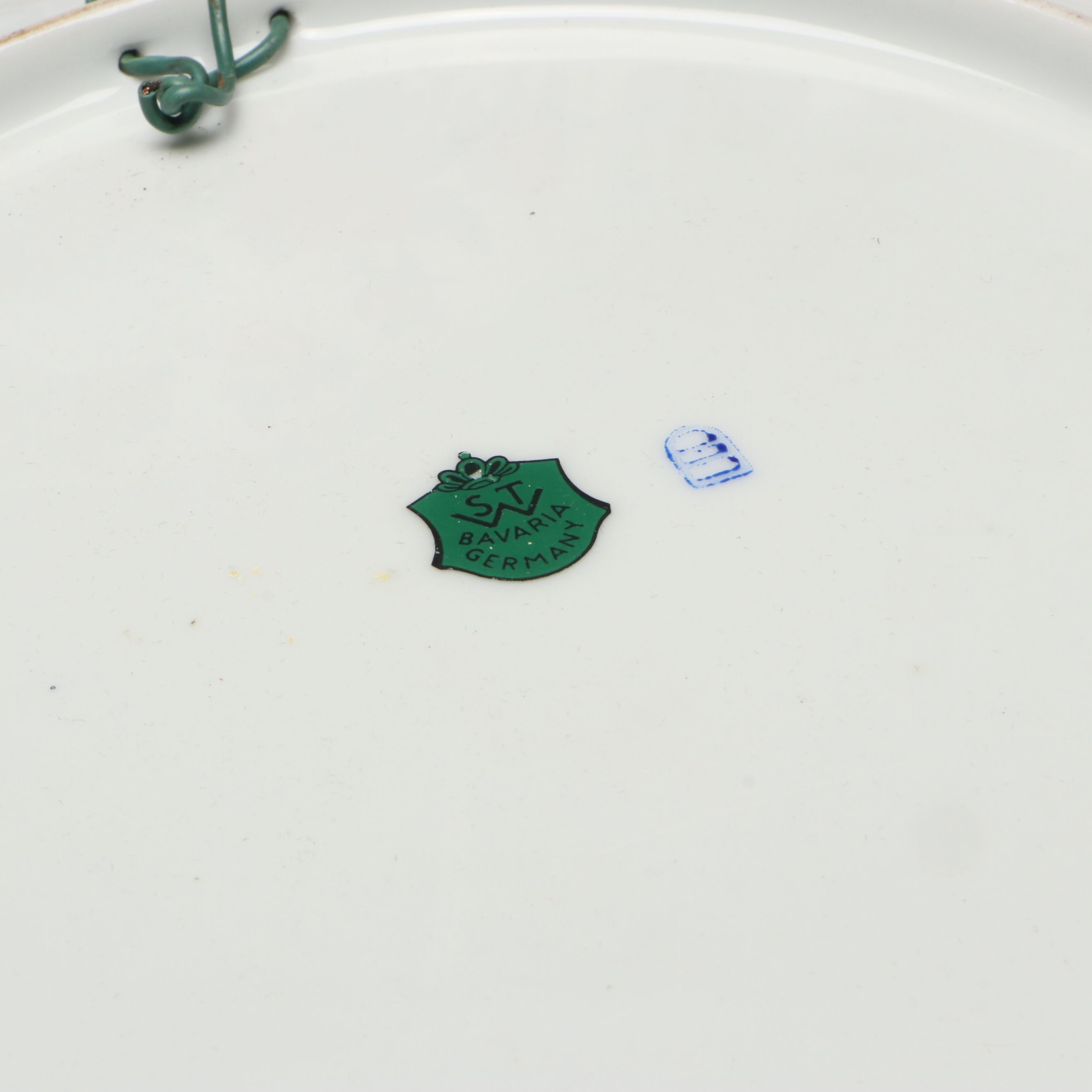 STW Bavaria Porcelain Game Bird Wall Plate with Japanese Peacock Plate