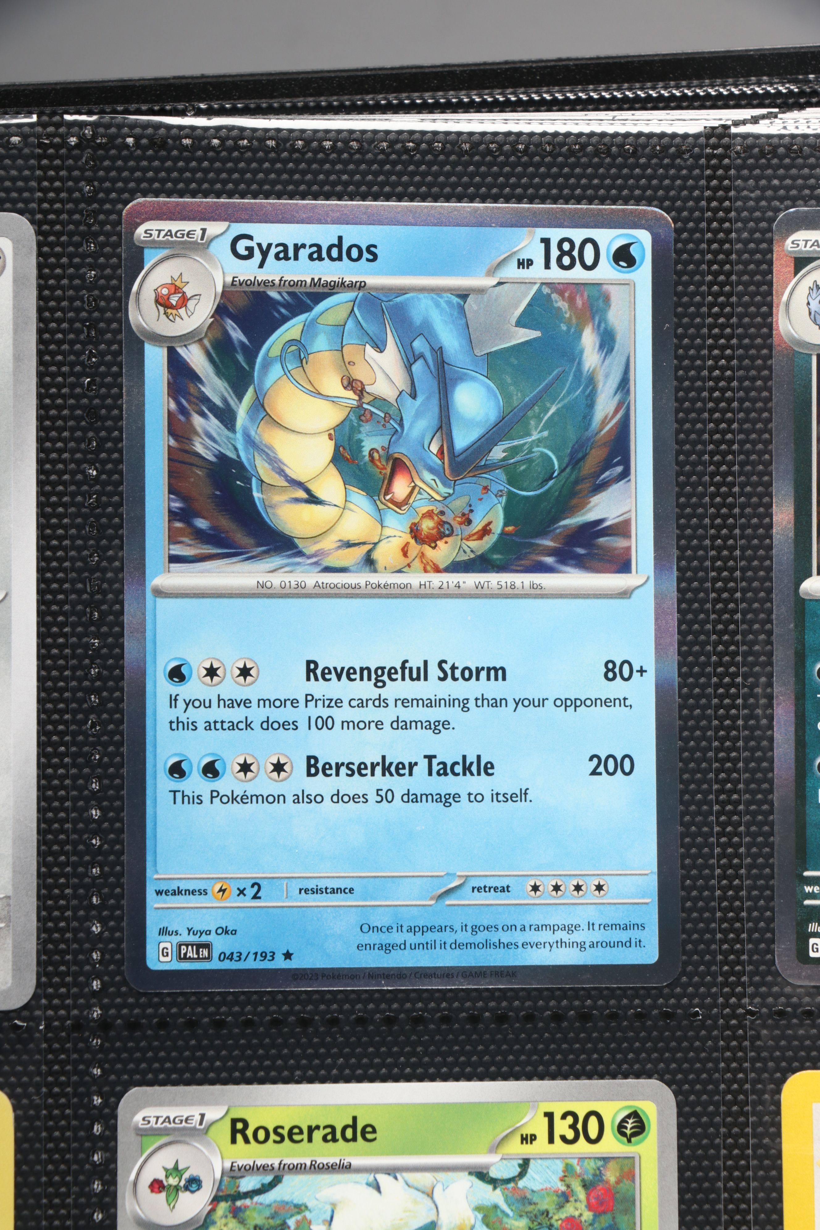 Pokémon Card Collection Featuring Holos, Trainers and More, 1990s-2020s