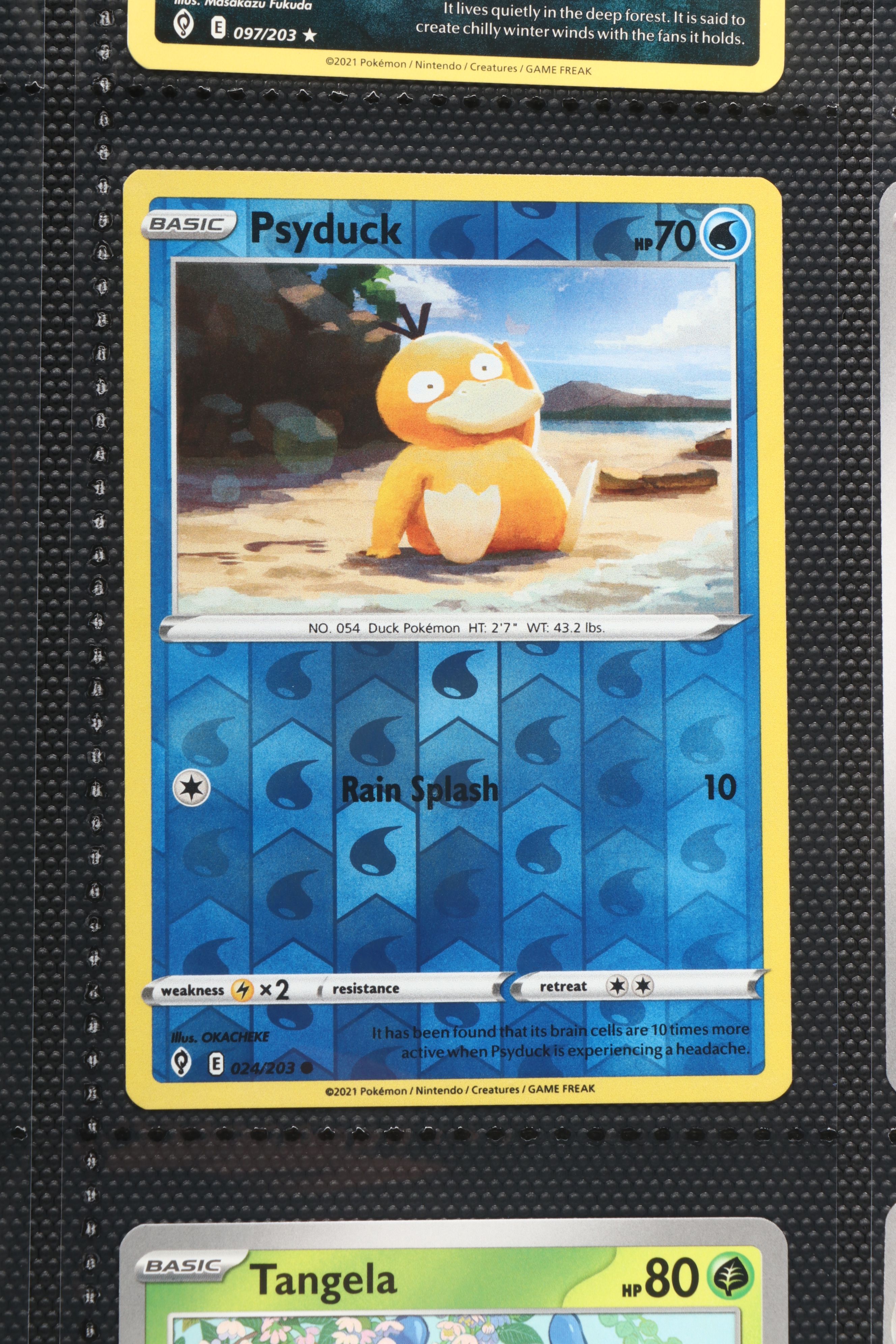 Pokémon Card Collection Featuring Holos, Trainers and More, 2000s-2020s