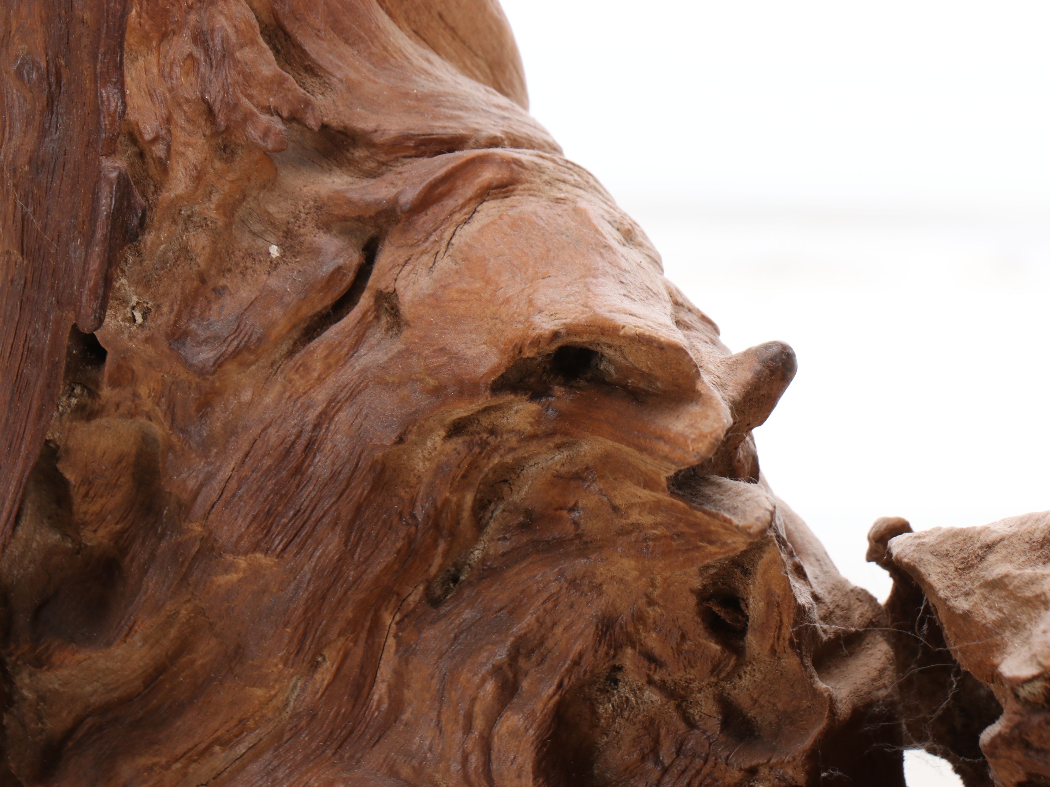 Natural Driftwood Piece