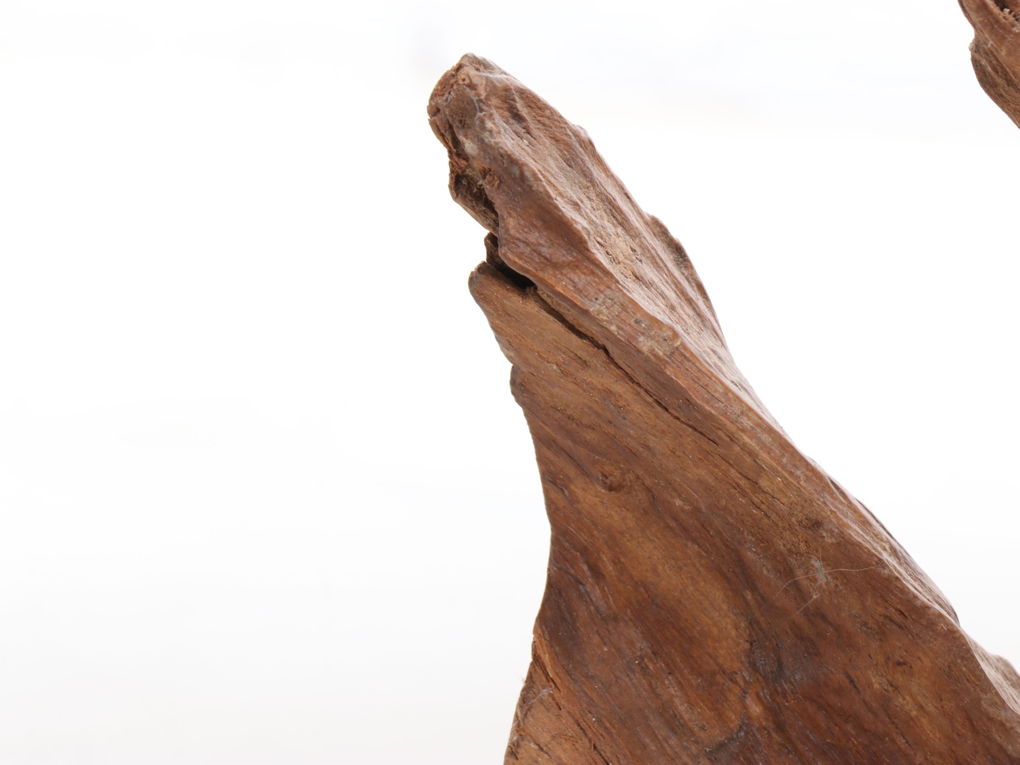 Natural Driftwood Piece