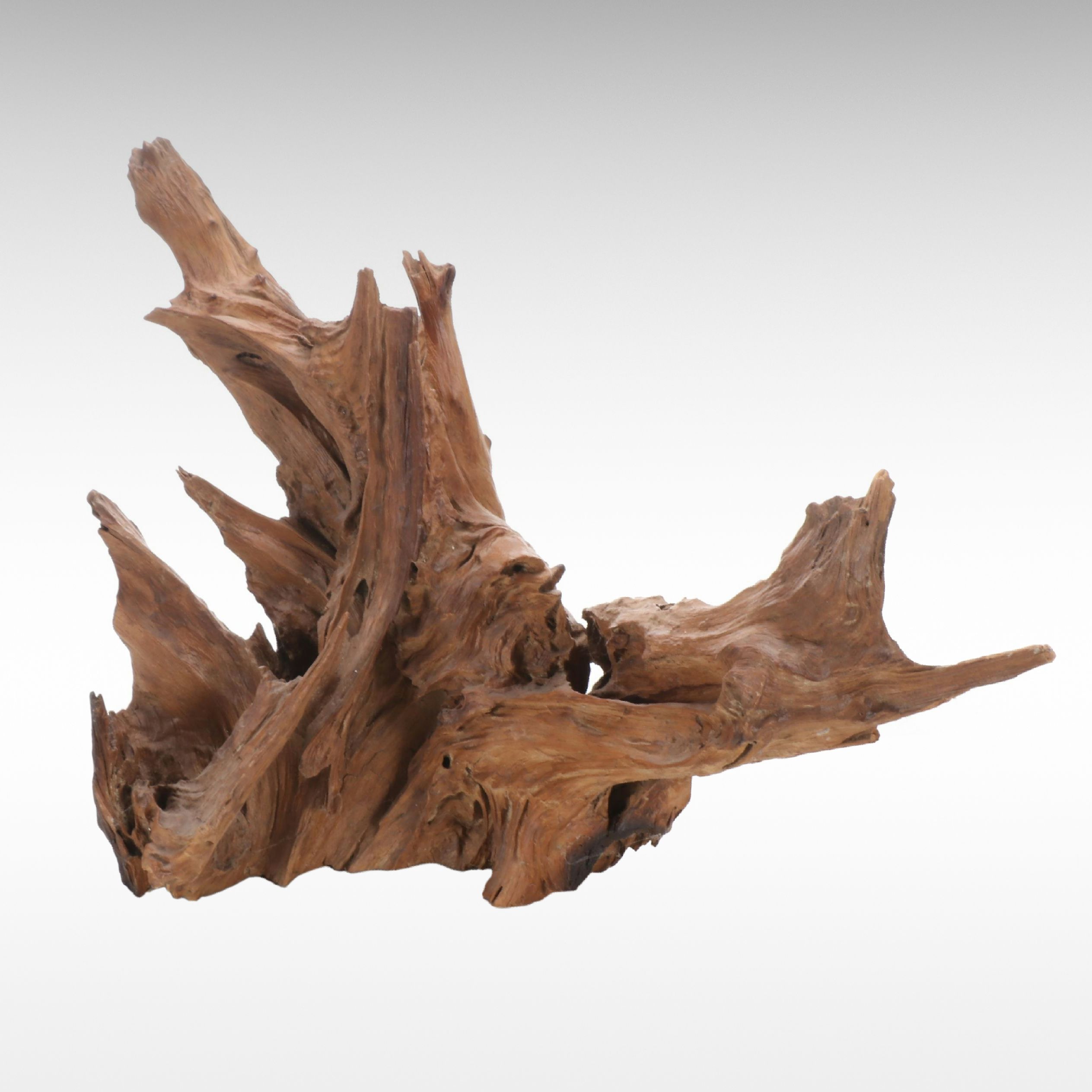 Natural Driftwood Piece