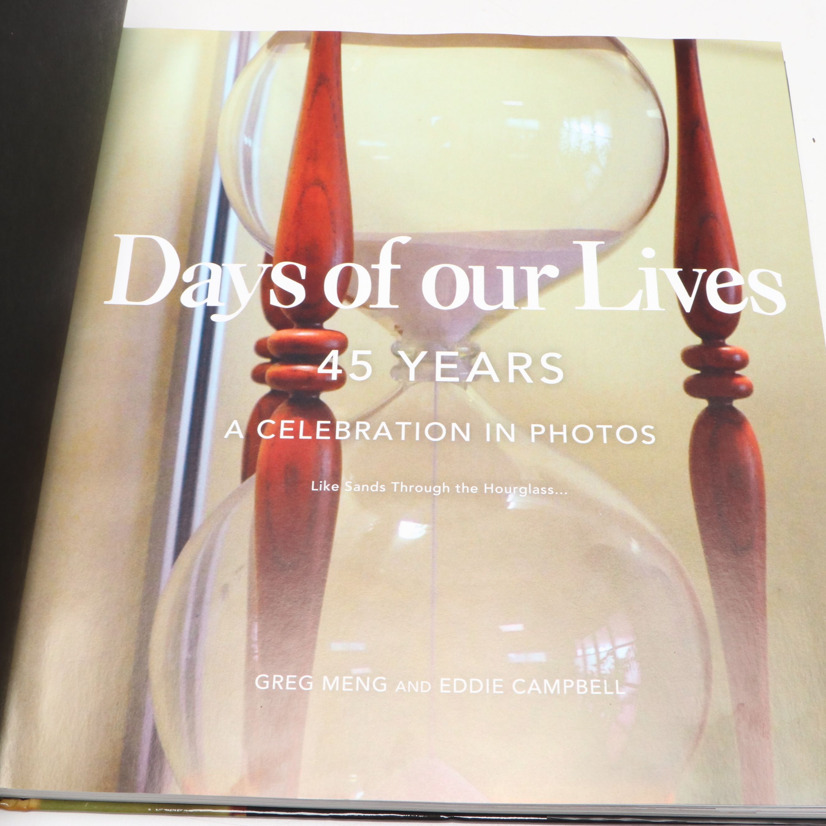 "Days of Our Lives: 45 Years" by Greg Meng and Eddie Campbell