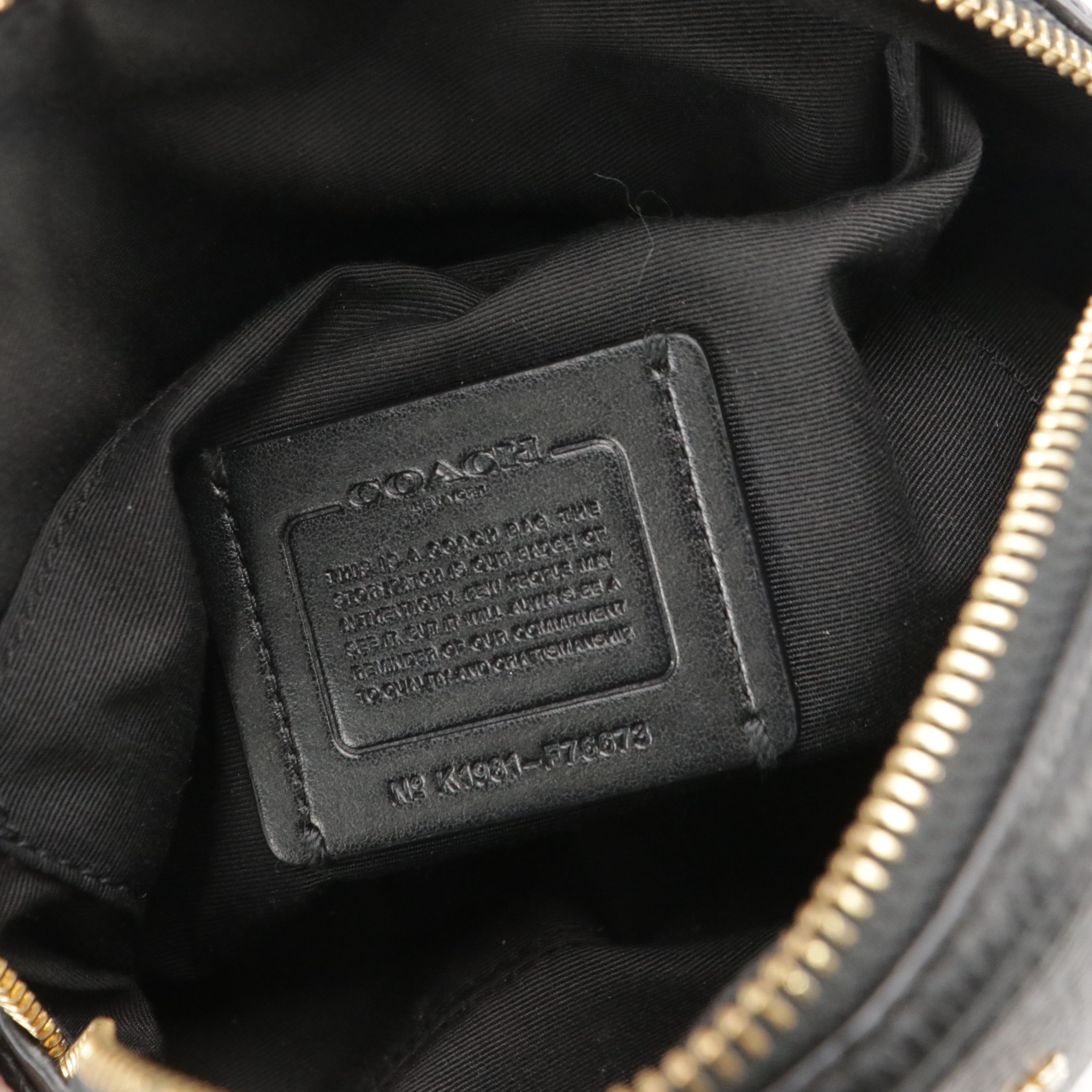 Coach Domed Crossbody Bag and Hippie Hobo Shoulder Bag in Black Leather