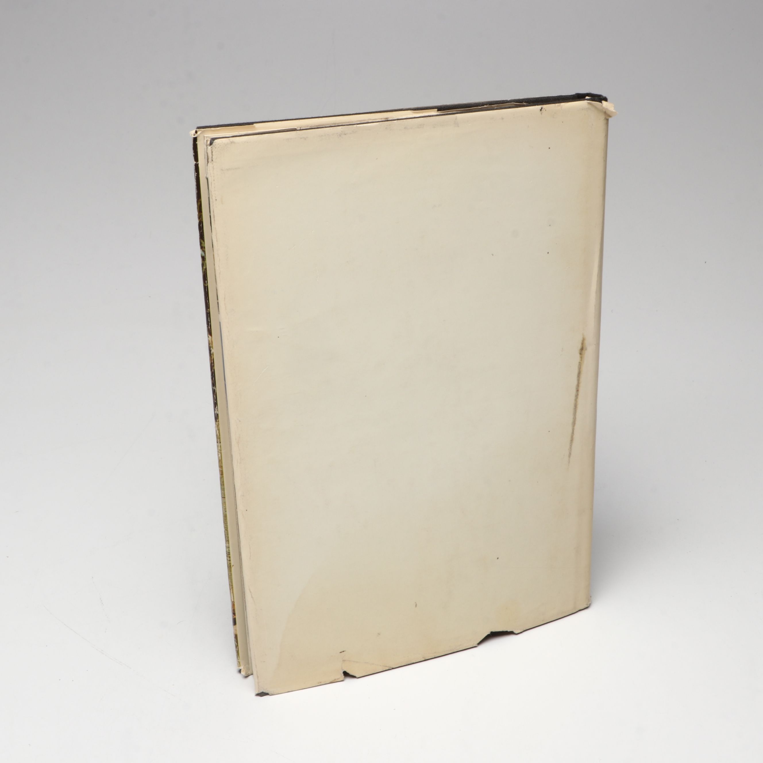 "The Art of Walt Disney" by Christopher Finch with More Art and Craft Books