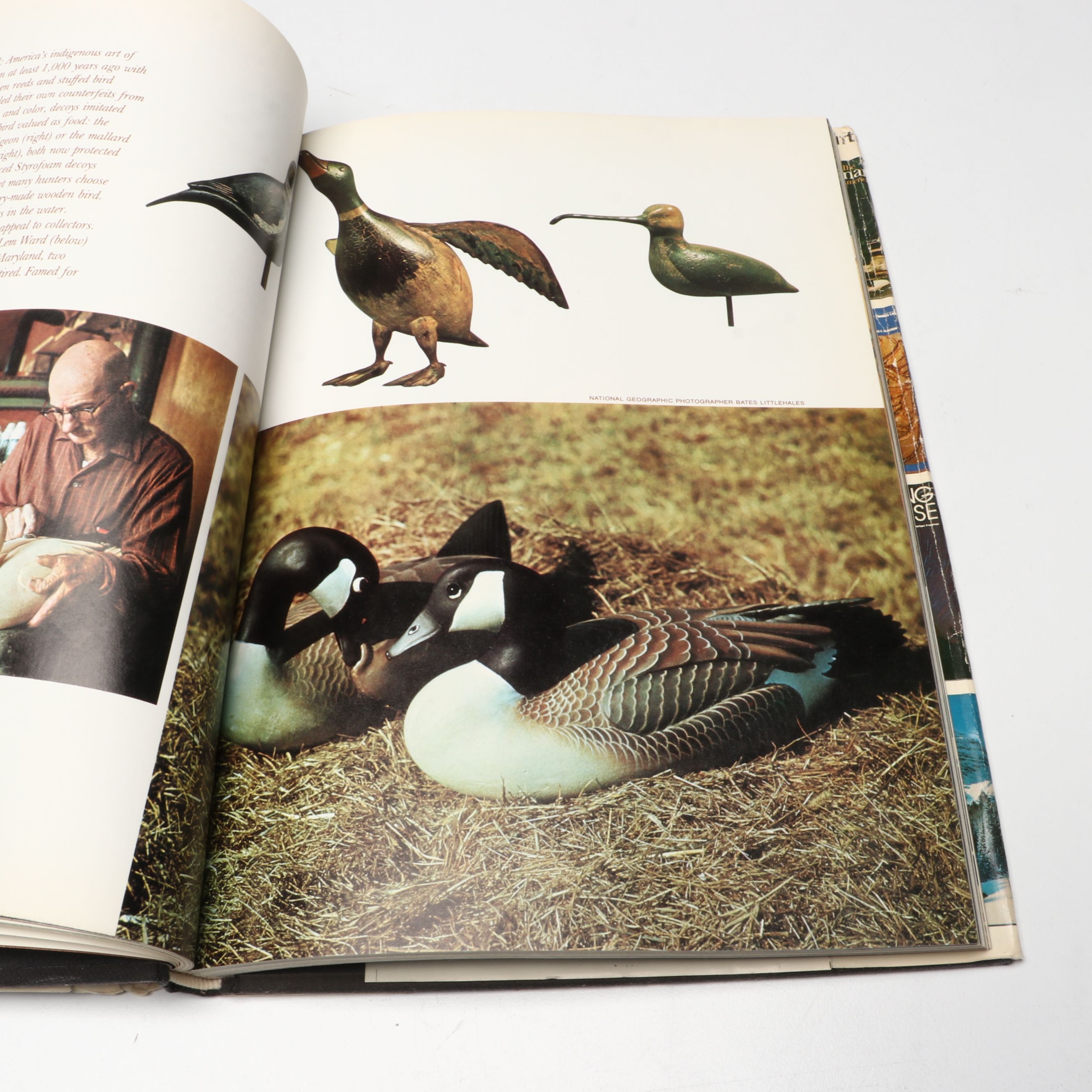 "The Art of Walt Disney" by Christopher Finch with More Art and Craft Books