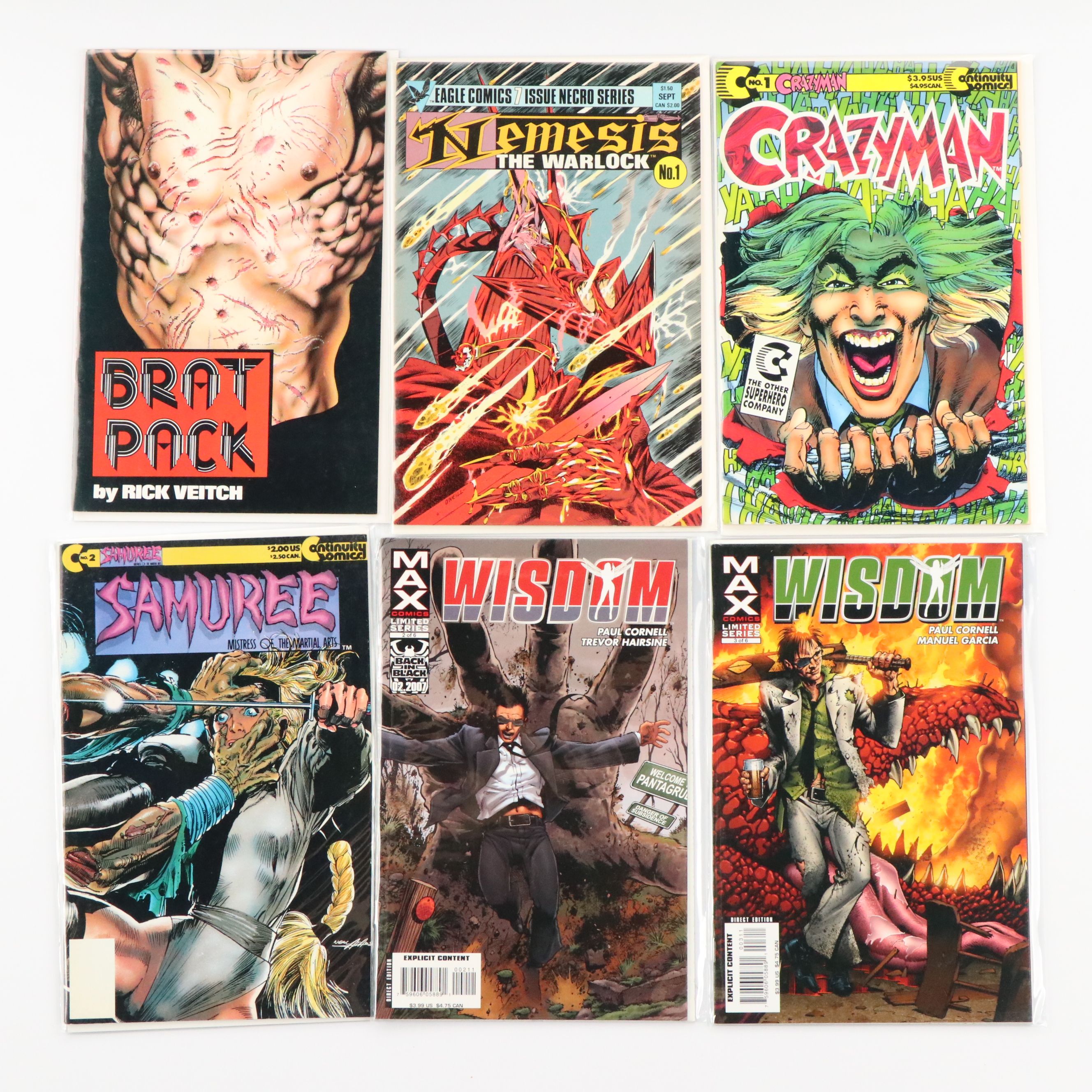 Modern Age Indie Comics Including "Scion," "Mister X" and "The Fly"