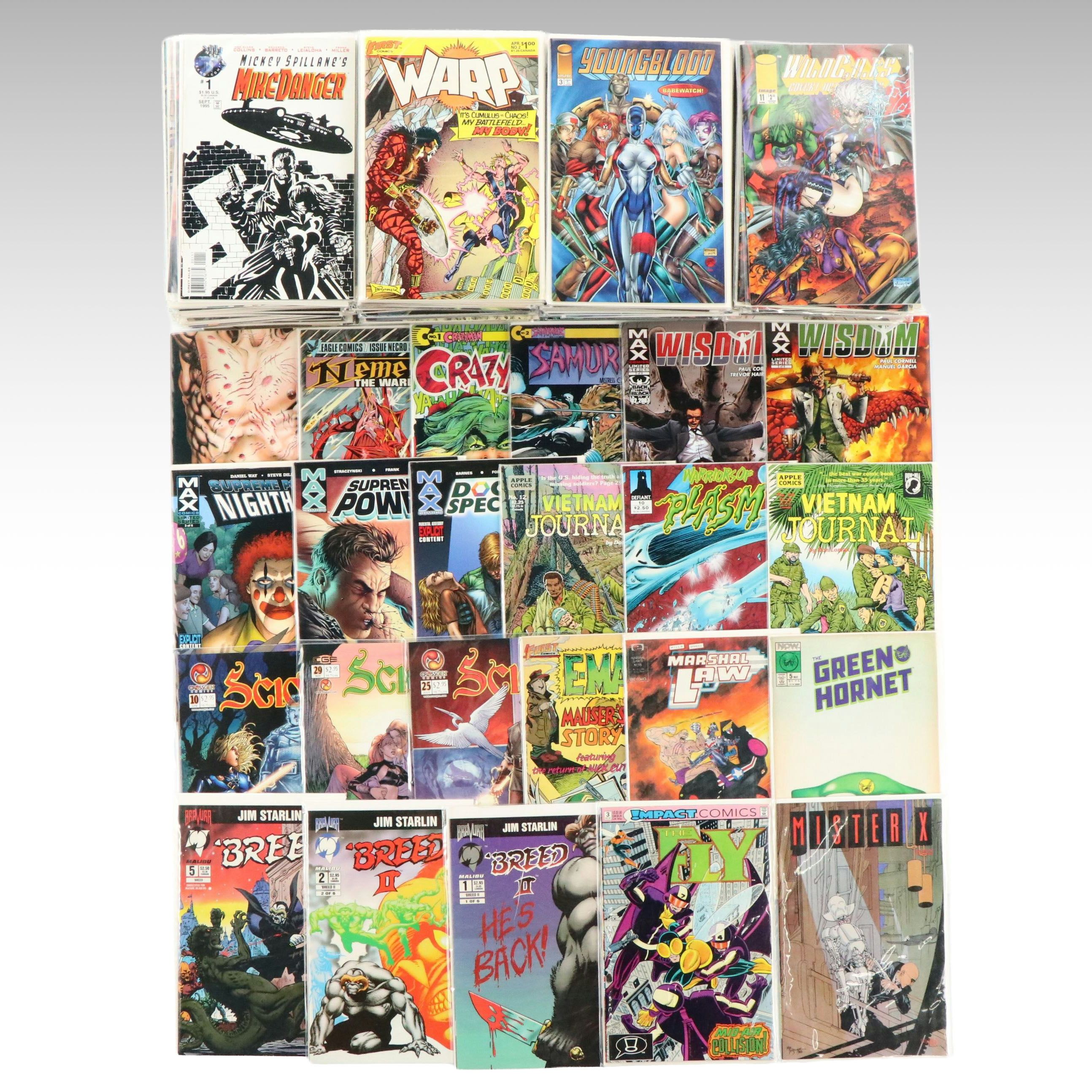 Modern Age Indie Comics Including "Scion," "Mister X" and "The Fly"