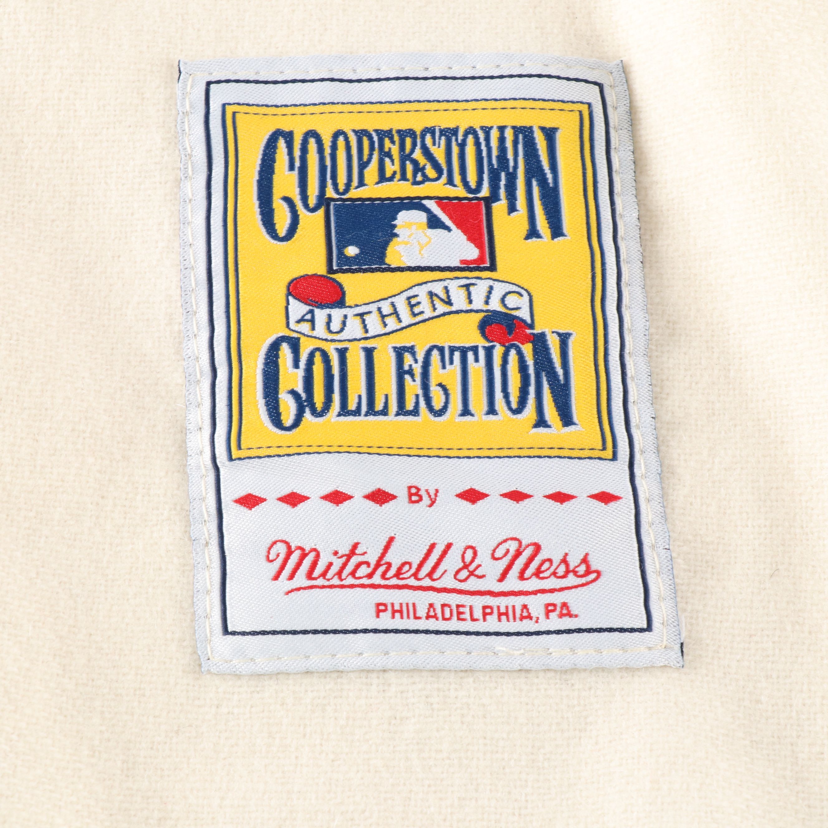 Carl Yastrzemski Signed Boston Red Sox Mitchell & Ness Baseball Jersey