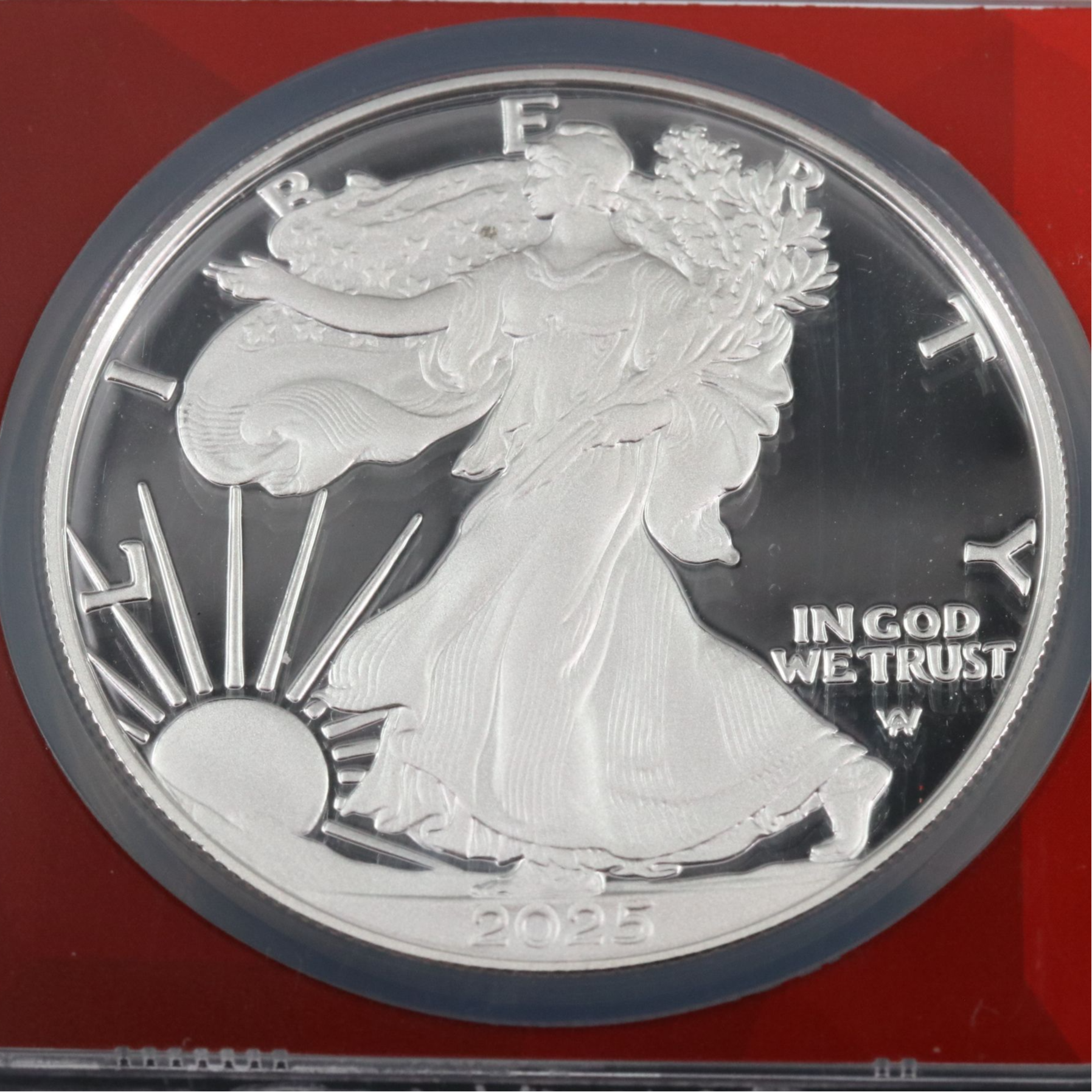 NGC Graded PF69 Ultra Cameo 2025-S $1 American Silver Eagle