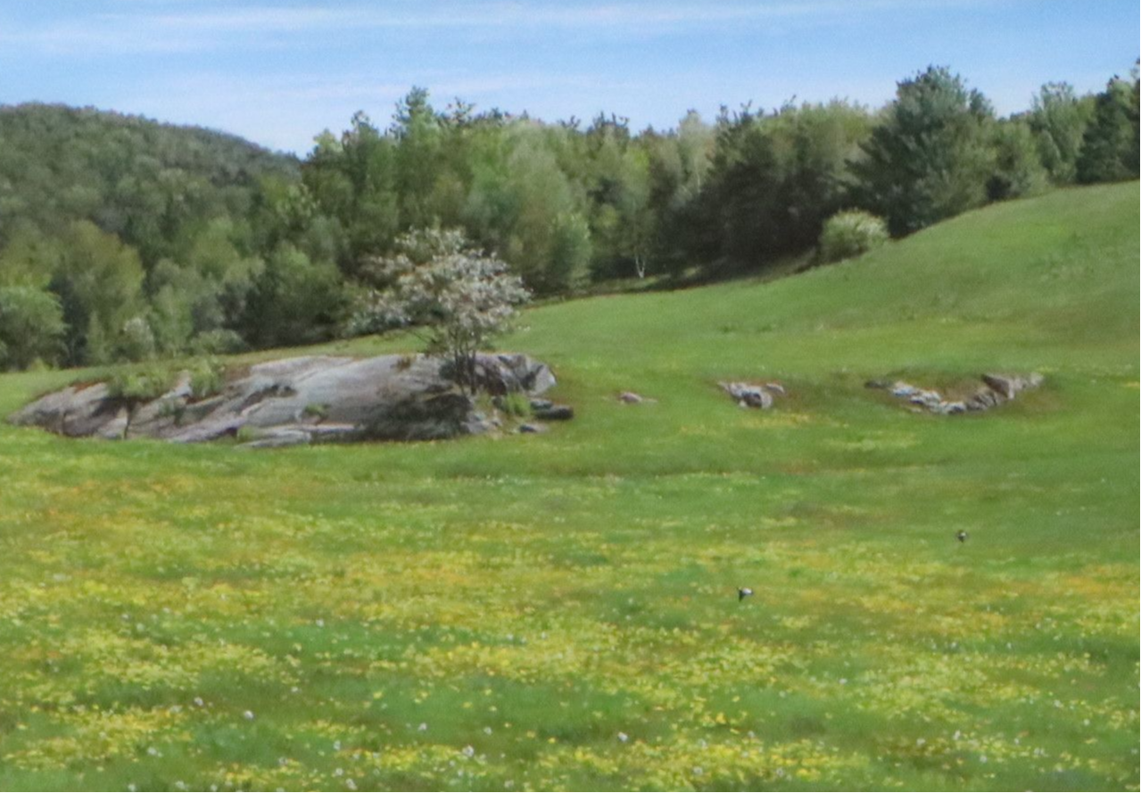Cindy House Chalk Pastel Landscape Drawing of Meadow, 2003