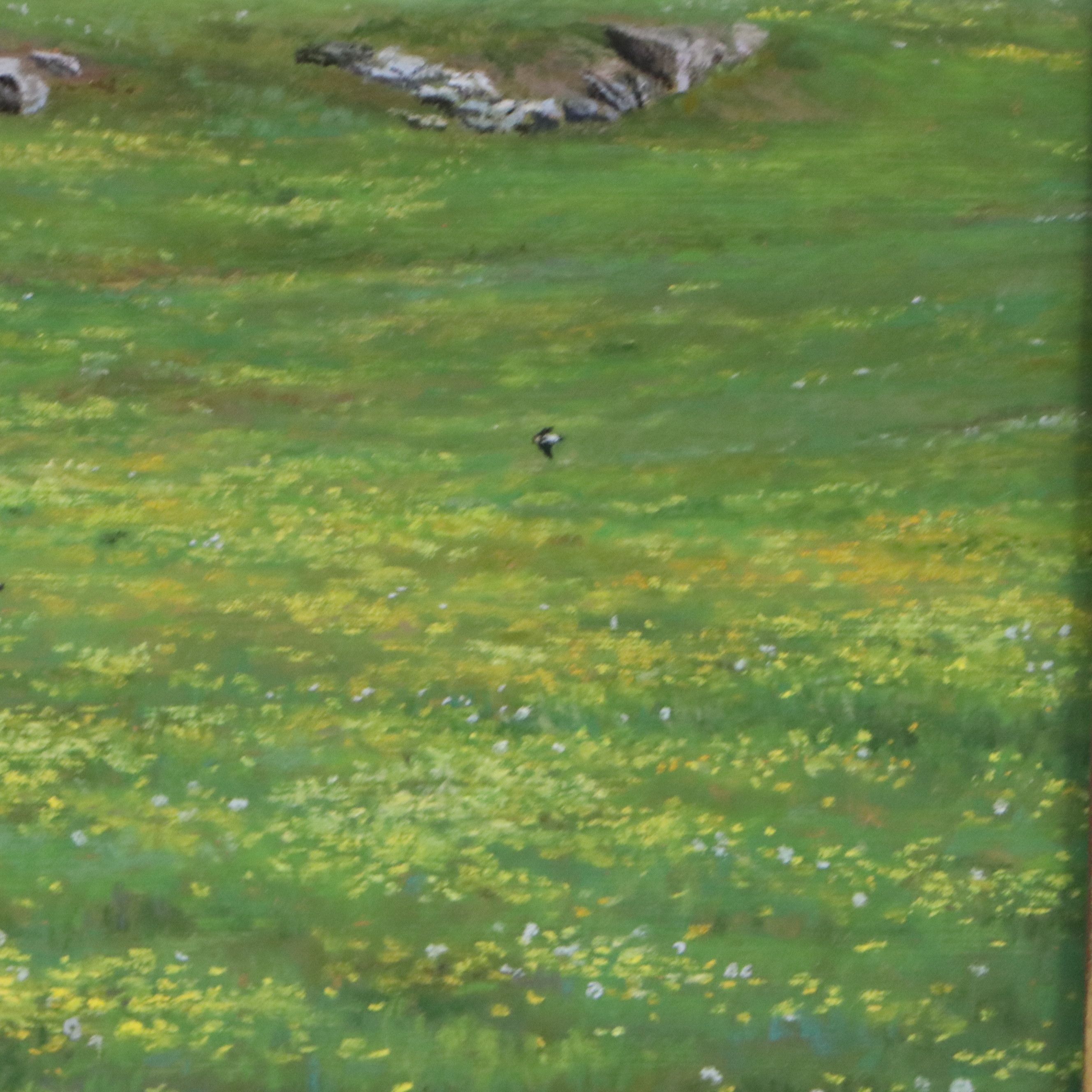 Cindy House Chalk Pastel Landscape Drawing of Meadow, 2003