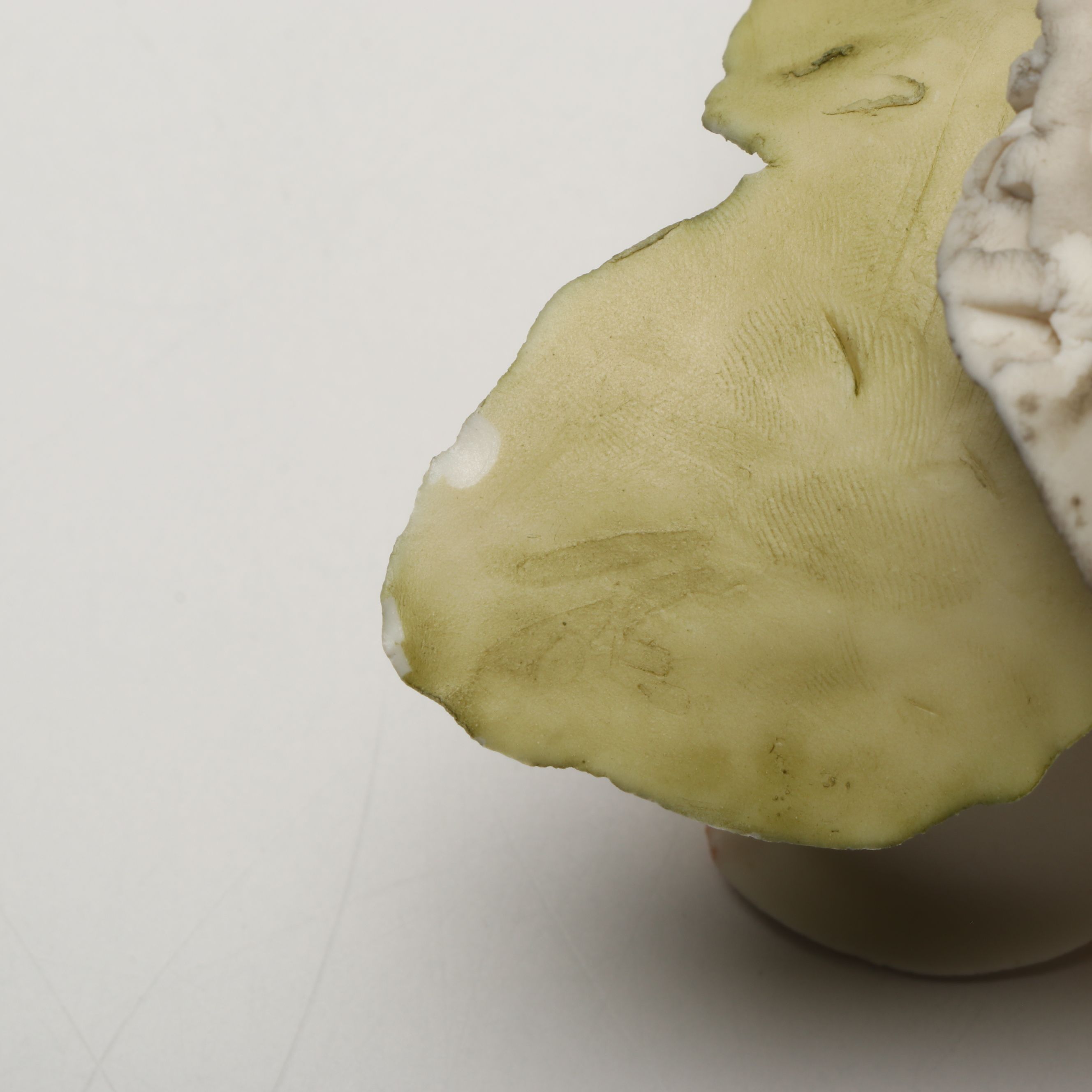 Hand-Painted Nesting Goldfinch Plaques with Ceramic Bunny and More Décor