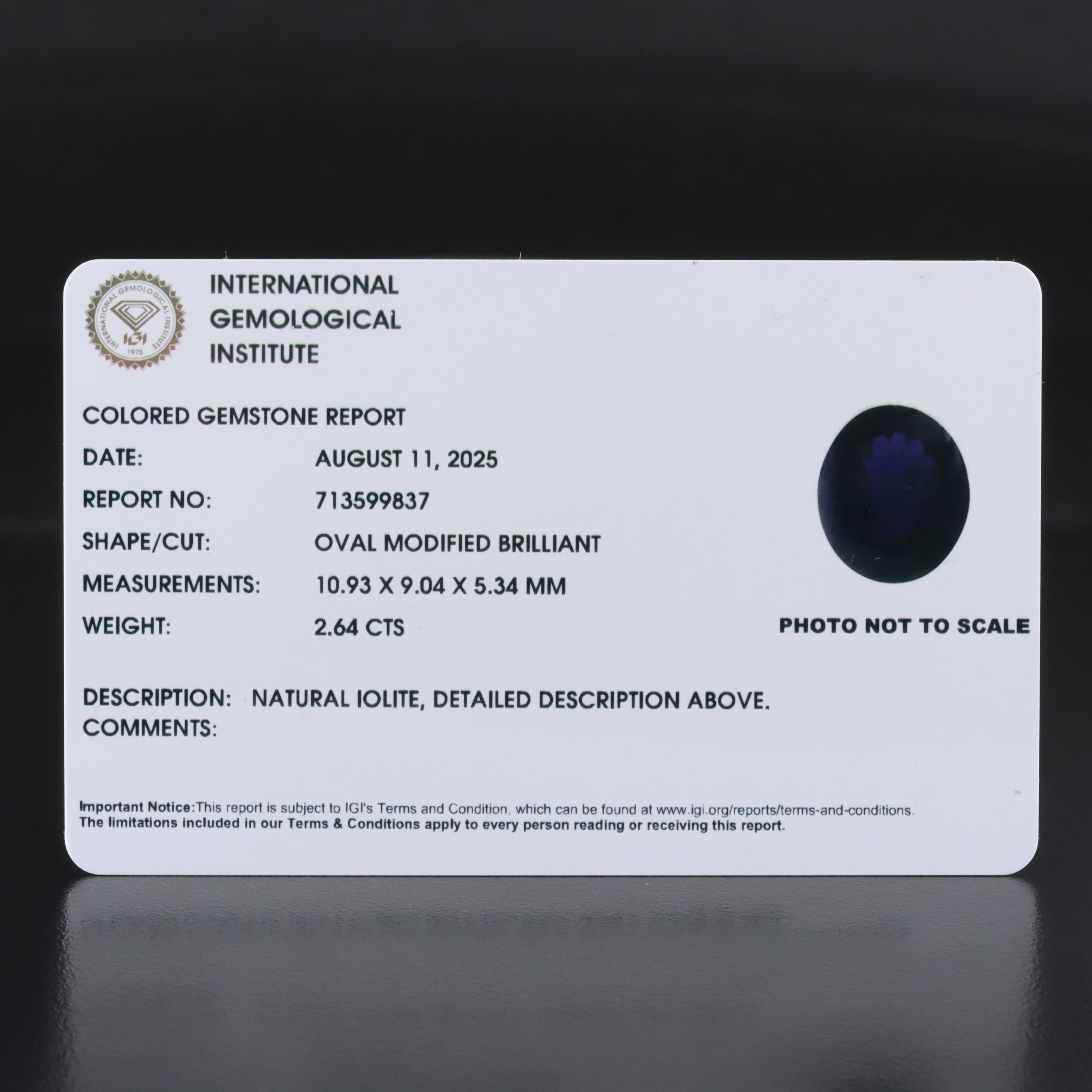 Loose 2.64 CT Iolite with IGI Report