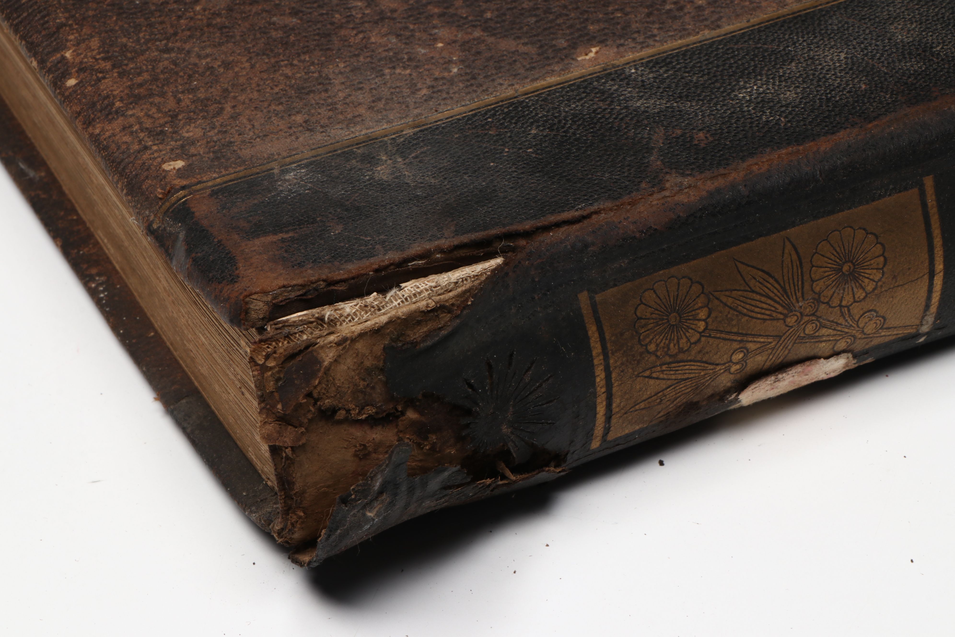 "The Chefs-d'Œuvre d'Art of the Paris Universal Exhibition" Folio, 1878