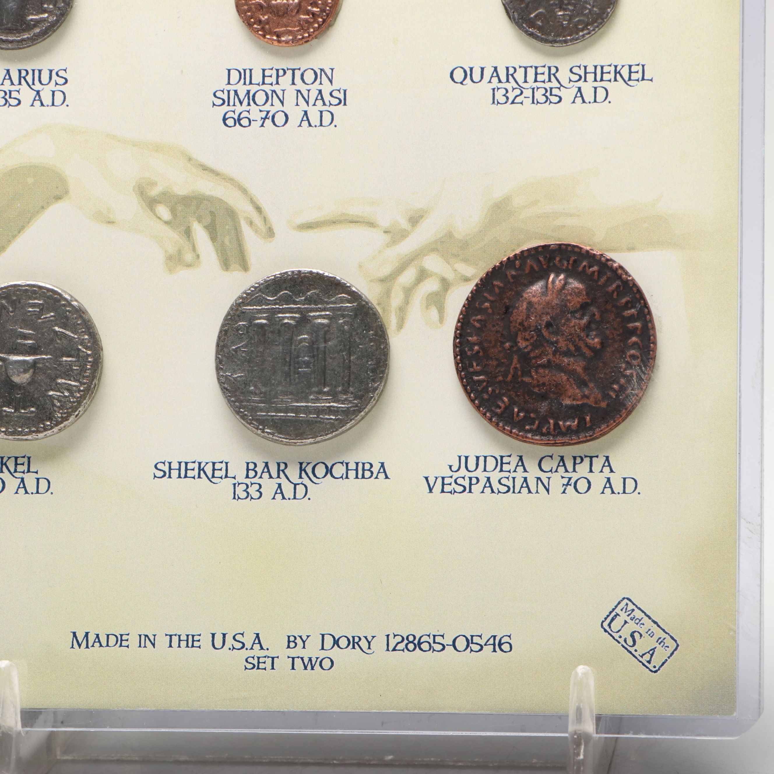 Dinosaur Bone Fragment with Prehistoric Shark Teeth and Replica Coins