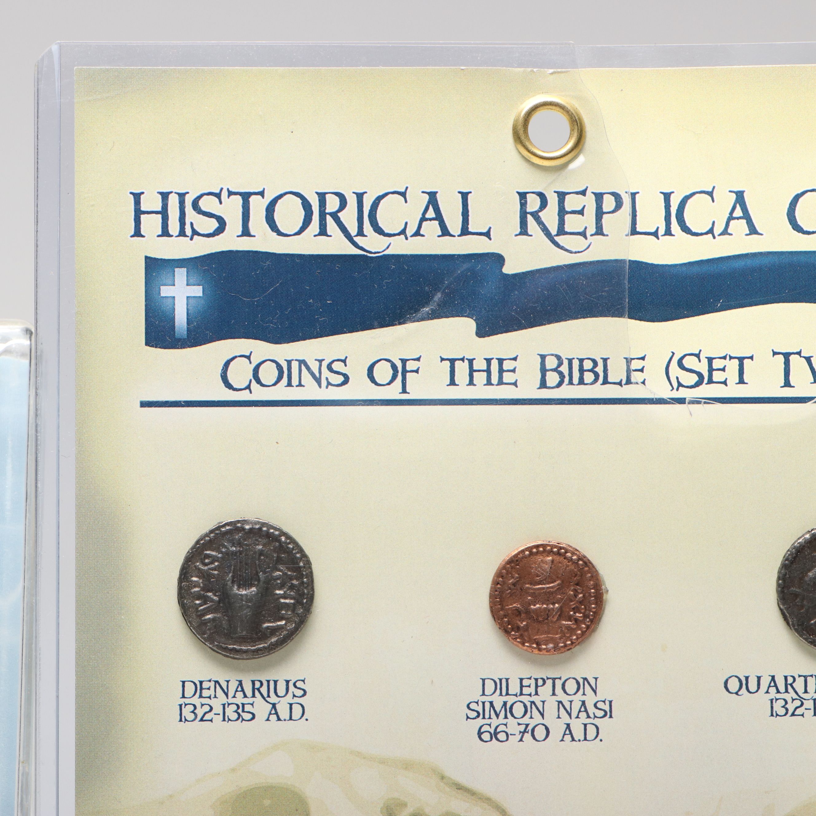 Dinosaur Bone Fragment with Prehistoric Shark Teeth and Replica Coins