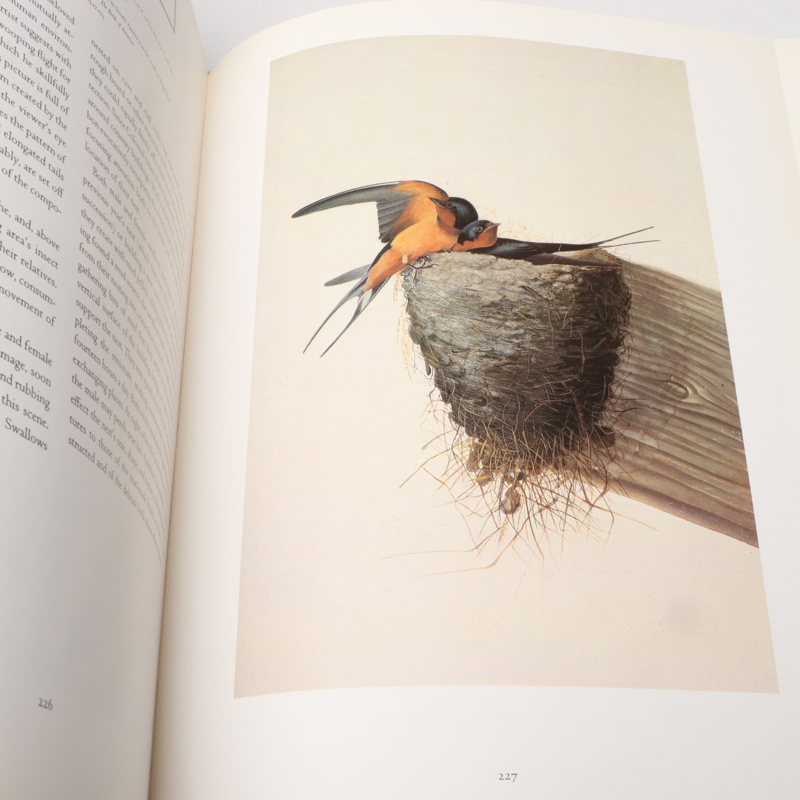First Edition Thus "John James Audubon: Watercolors for The Birds of America"