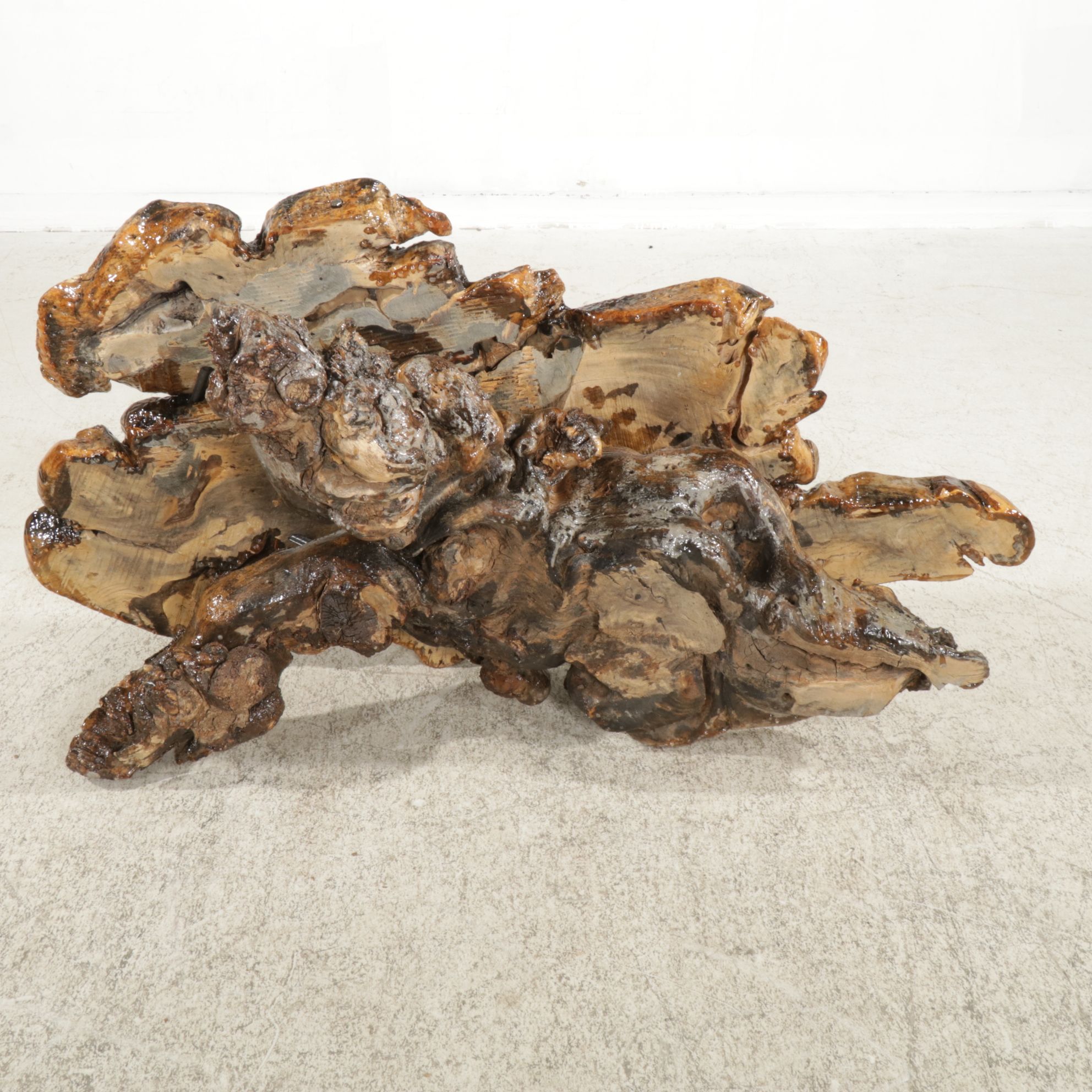 Live Edge Burl Wood Coffee Table