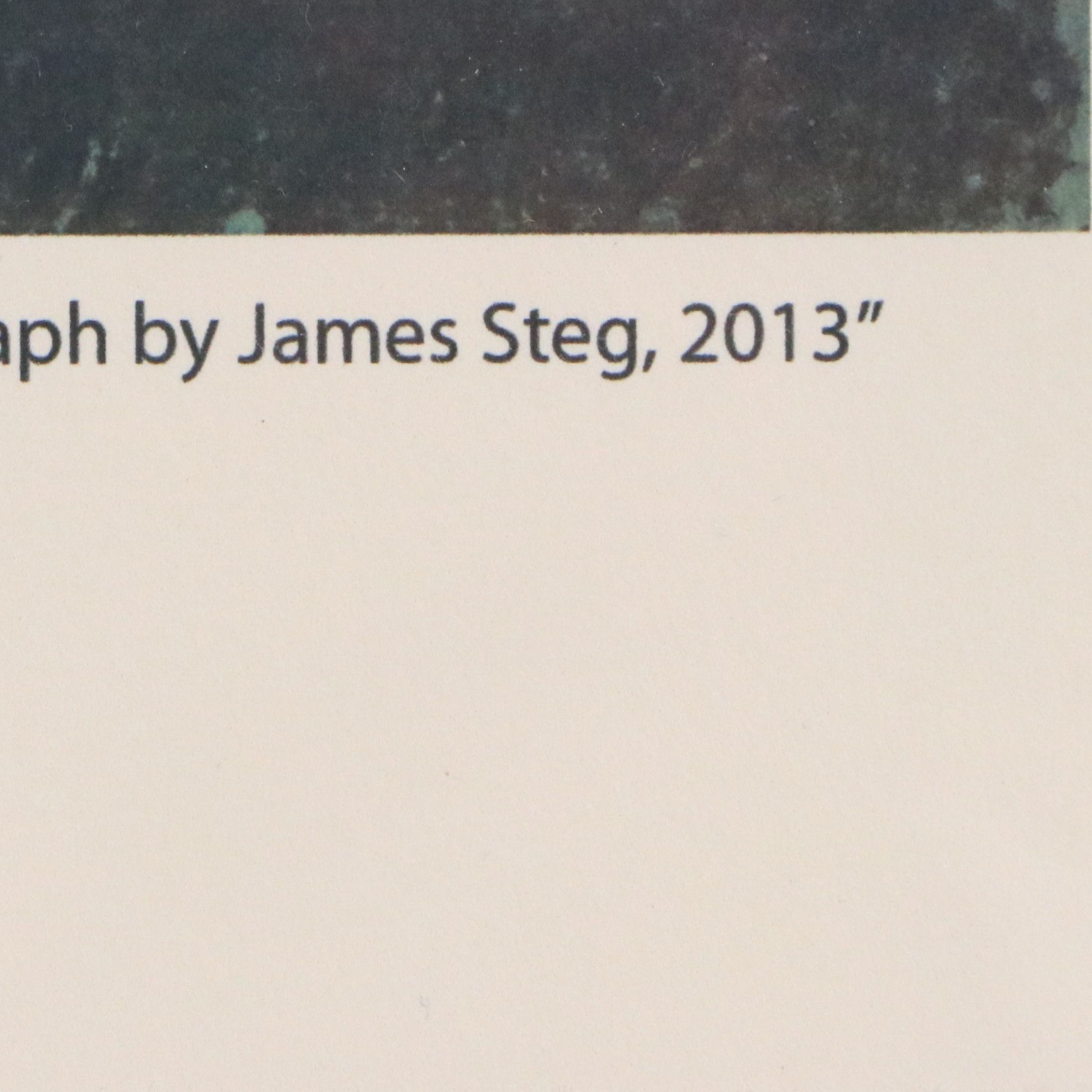 Giclée After James Steg "Man as Hunter," 2013
