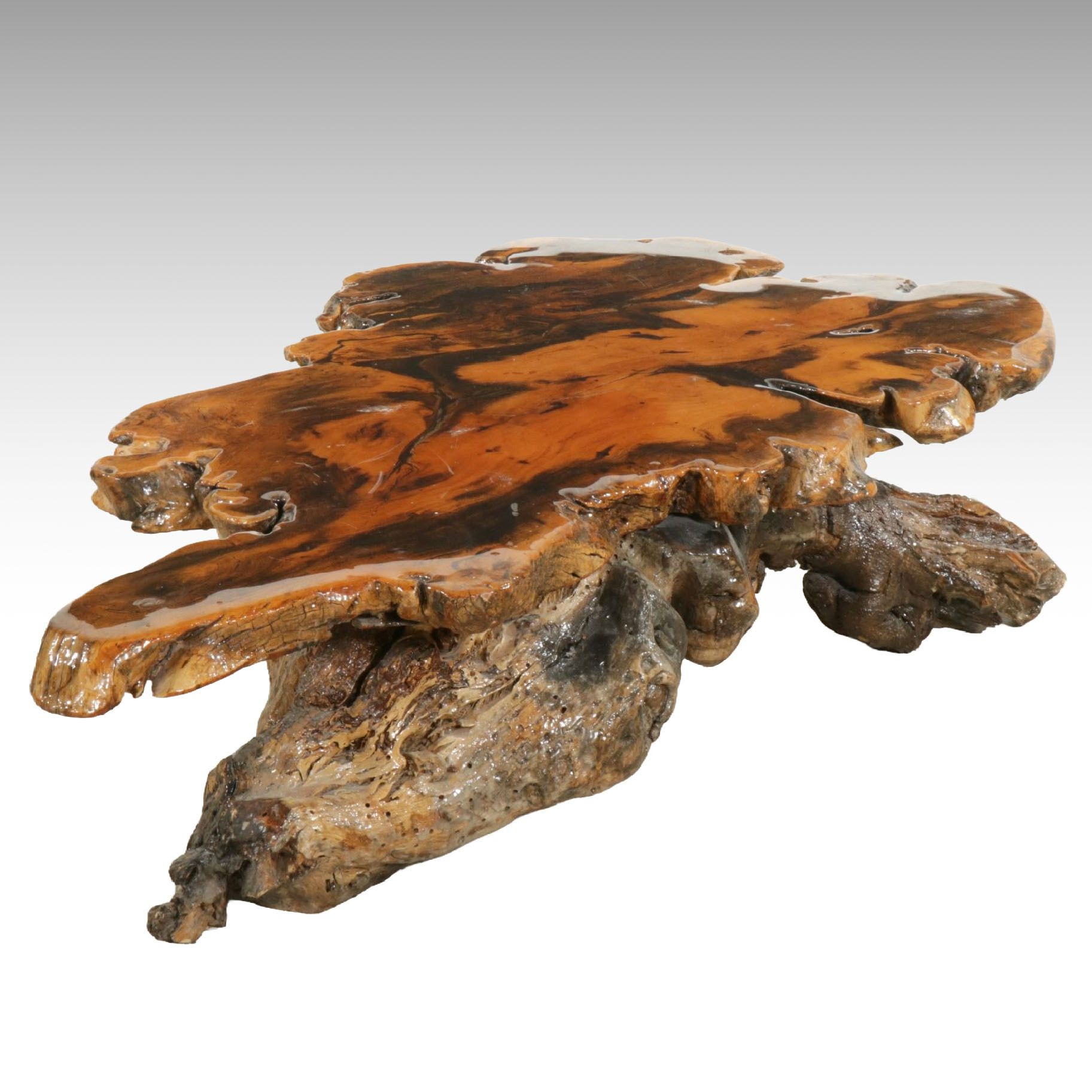 Live Edge Burl Wood Coffee Table
