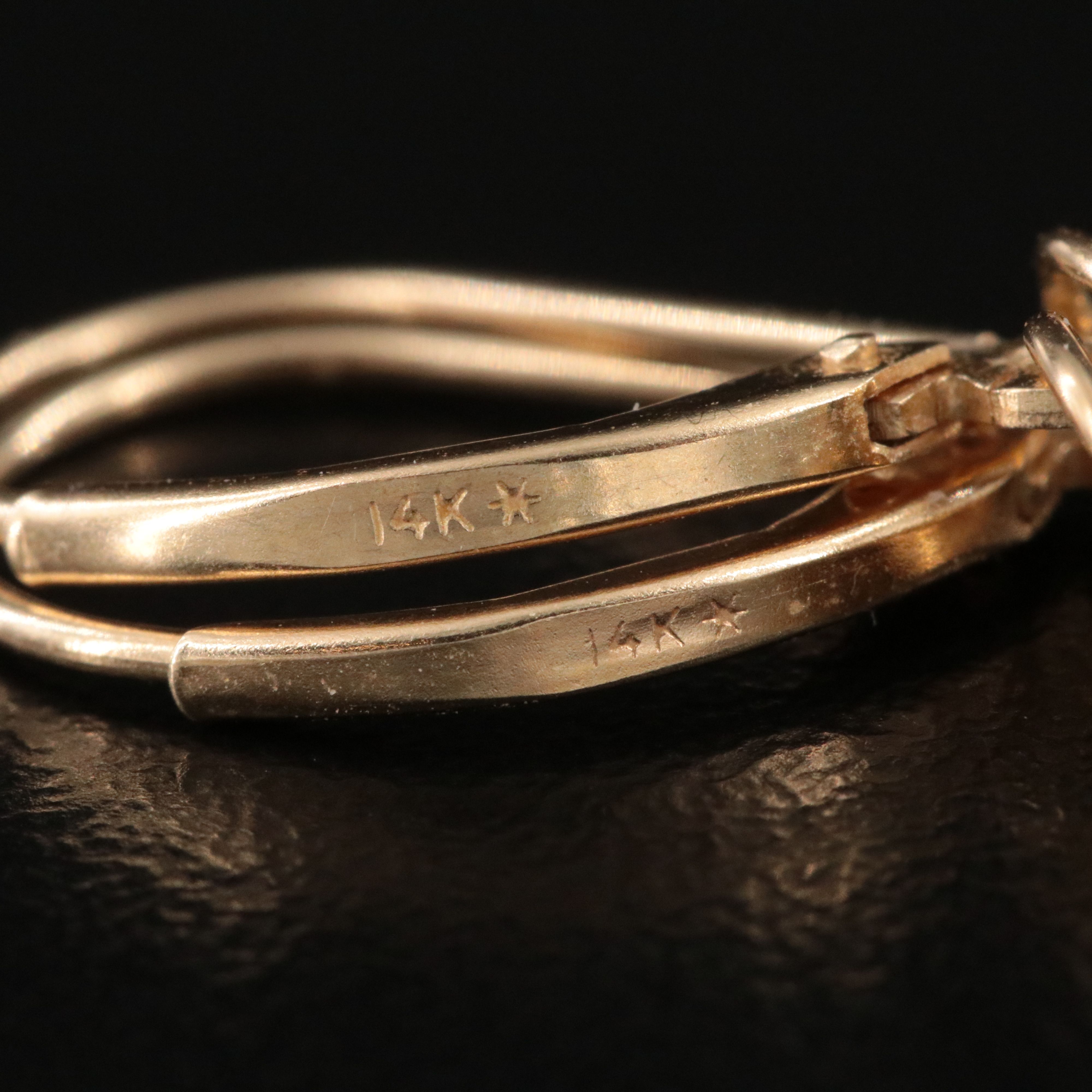 14K 5.16 CTW Fancy Black Diamond Fringe Earrings