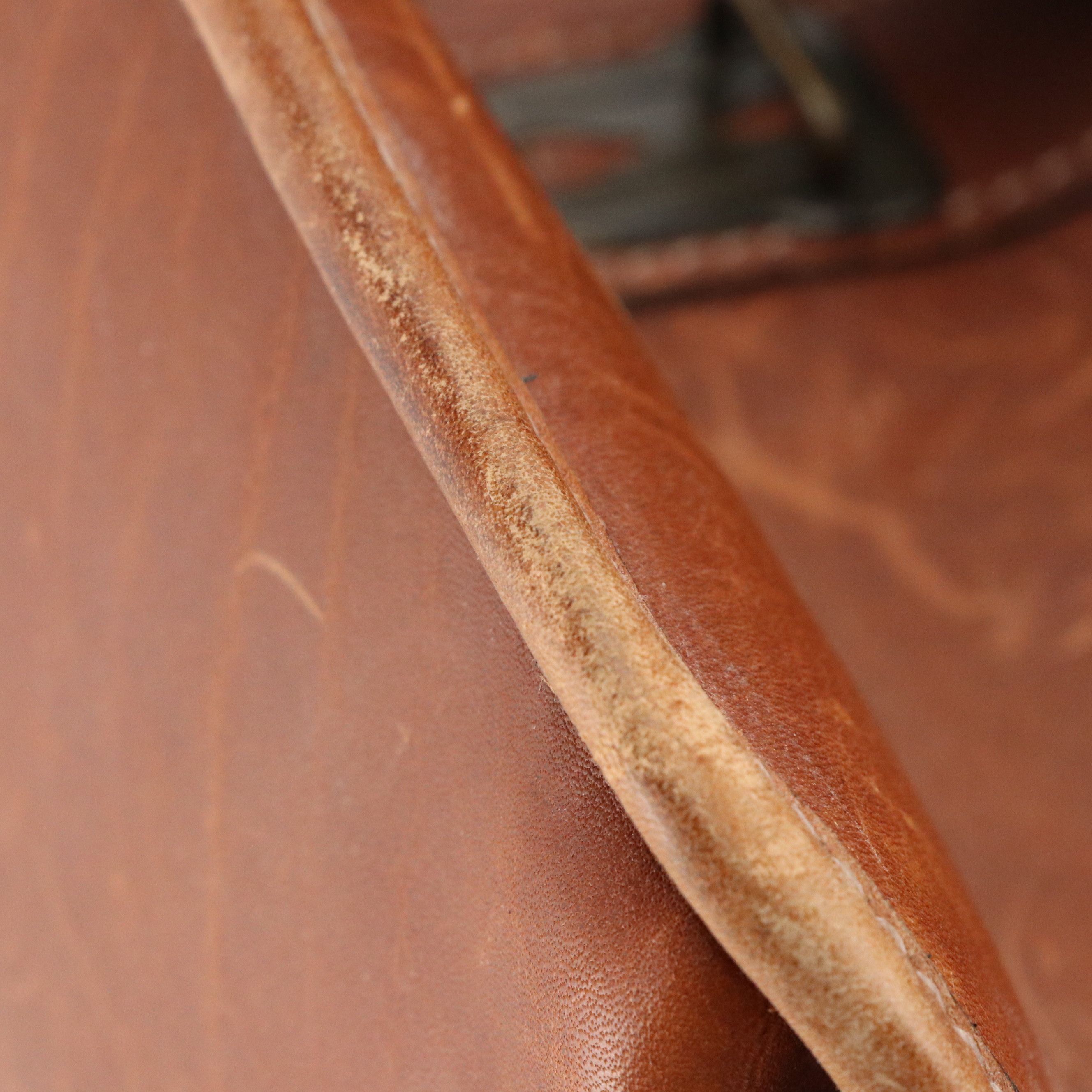 Schlesinger Briefcase, Overnight/Laptop/Briefcase Expandable and Trolley Bags