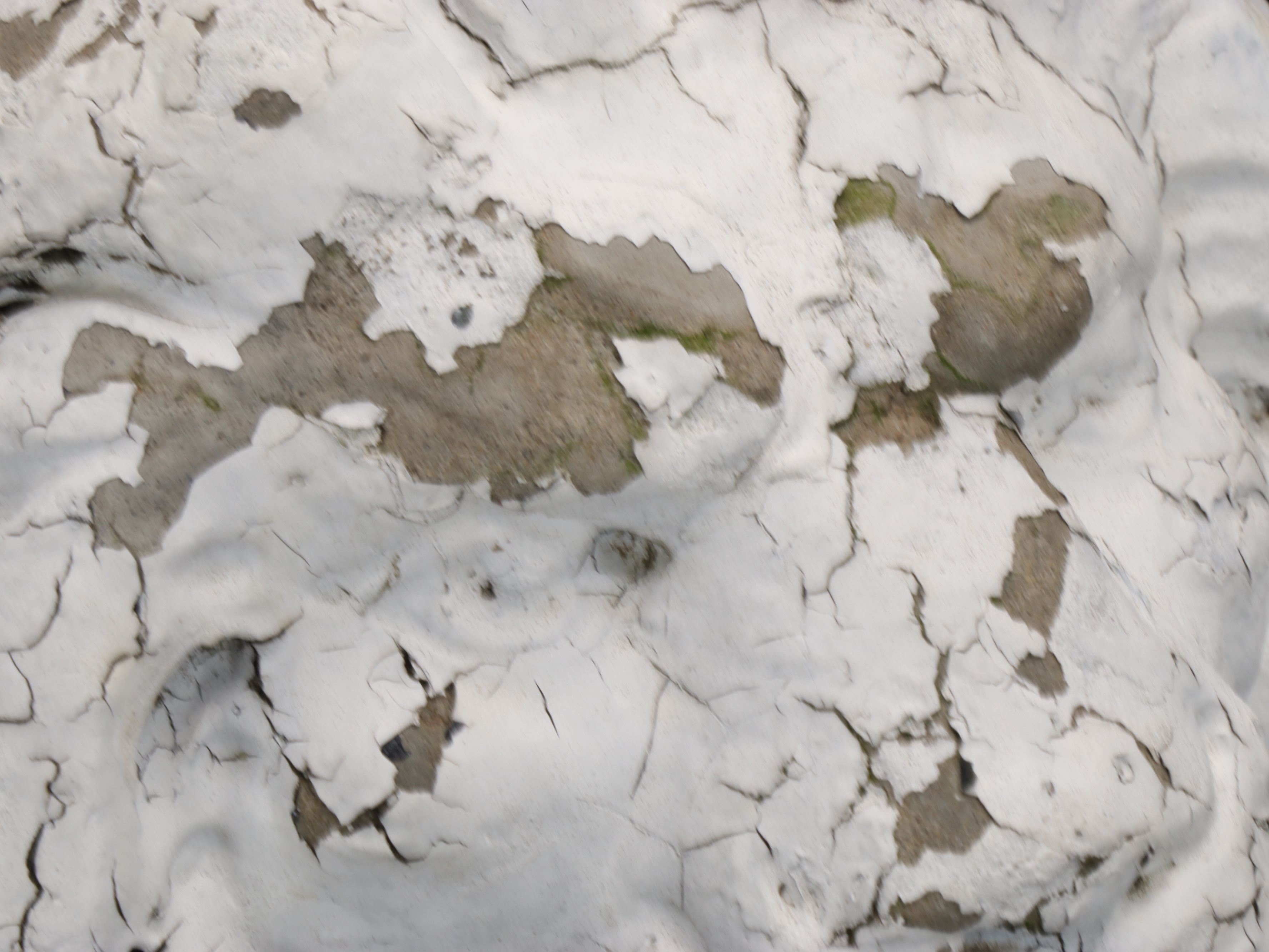 Weathered Lion Concrete Garden Sculptures