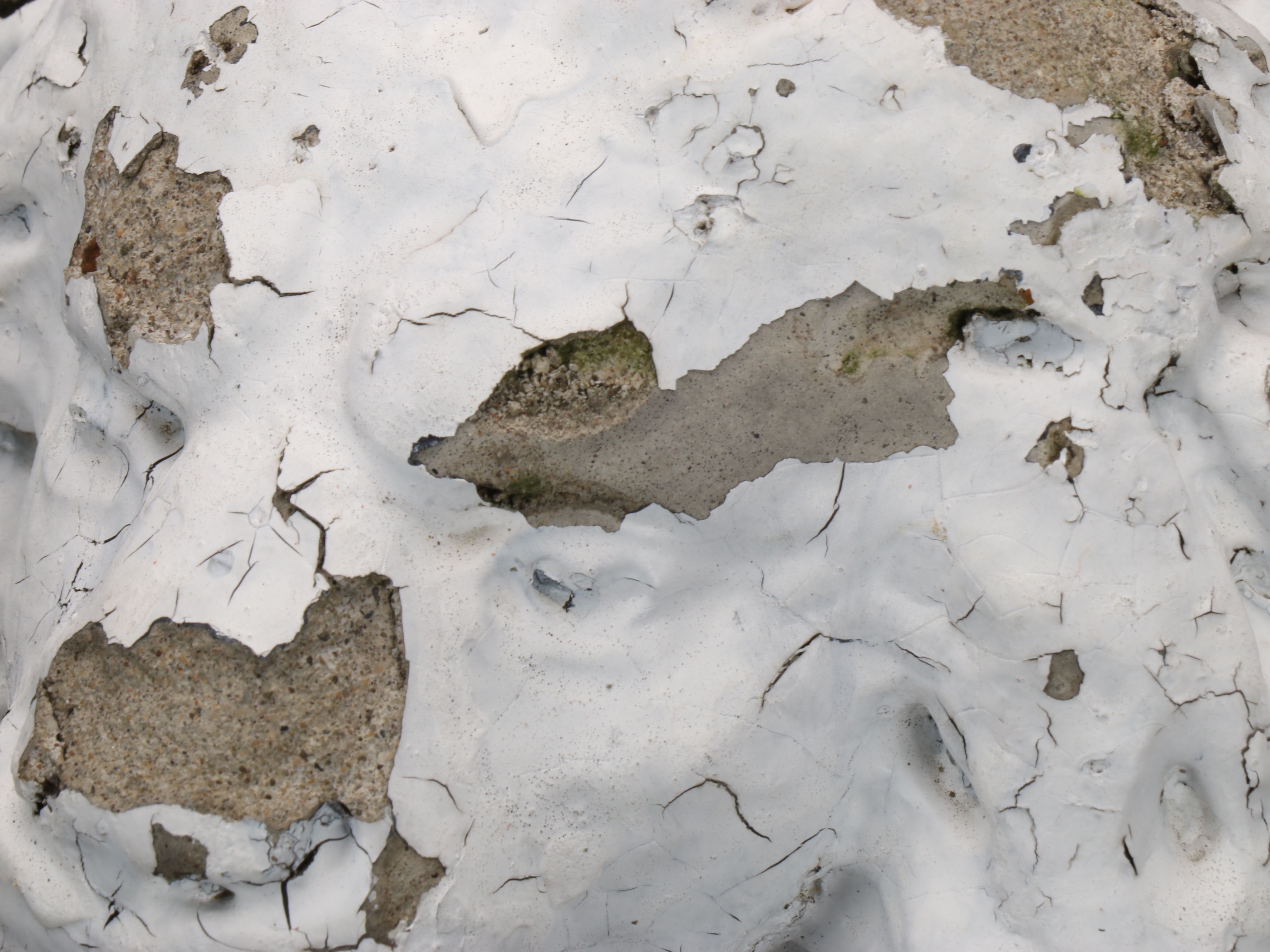 Weathered Lion Concrete Garden Sculptures