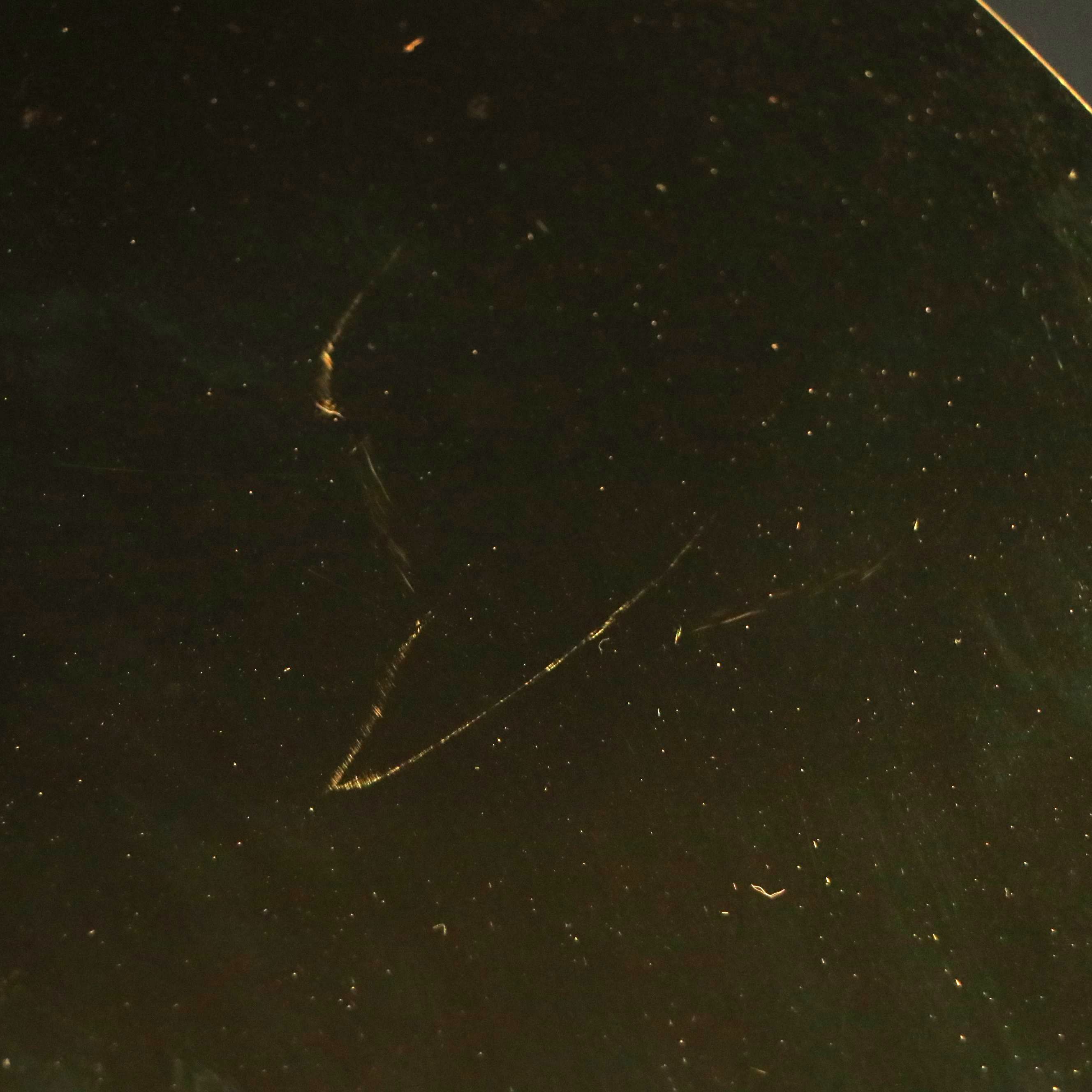 Pablo Designs Brass Bola Disc Pendant Light