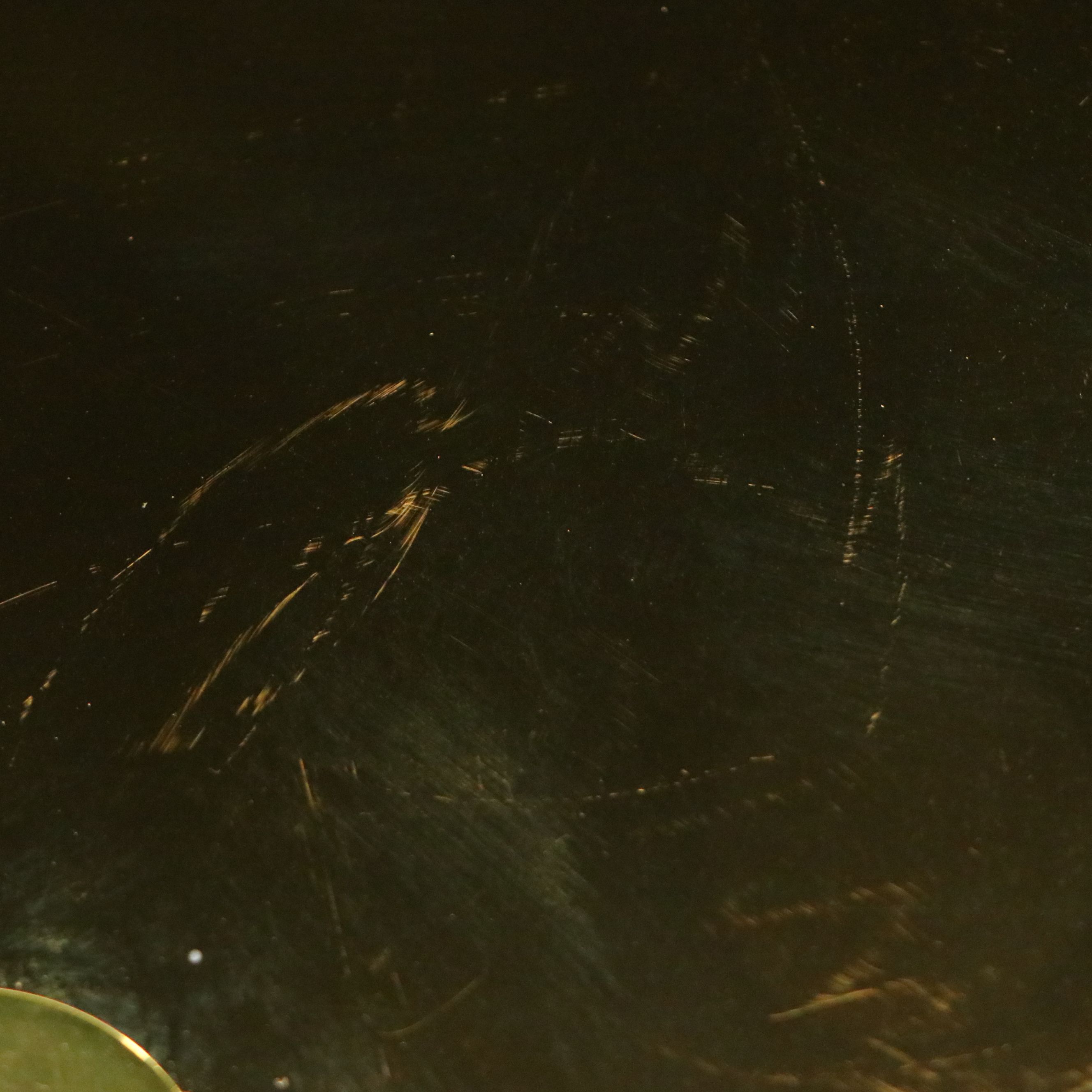 Pablo Designs Brass Bola Disc Pendant Light