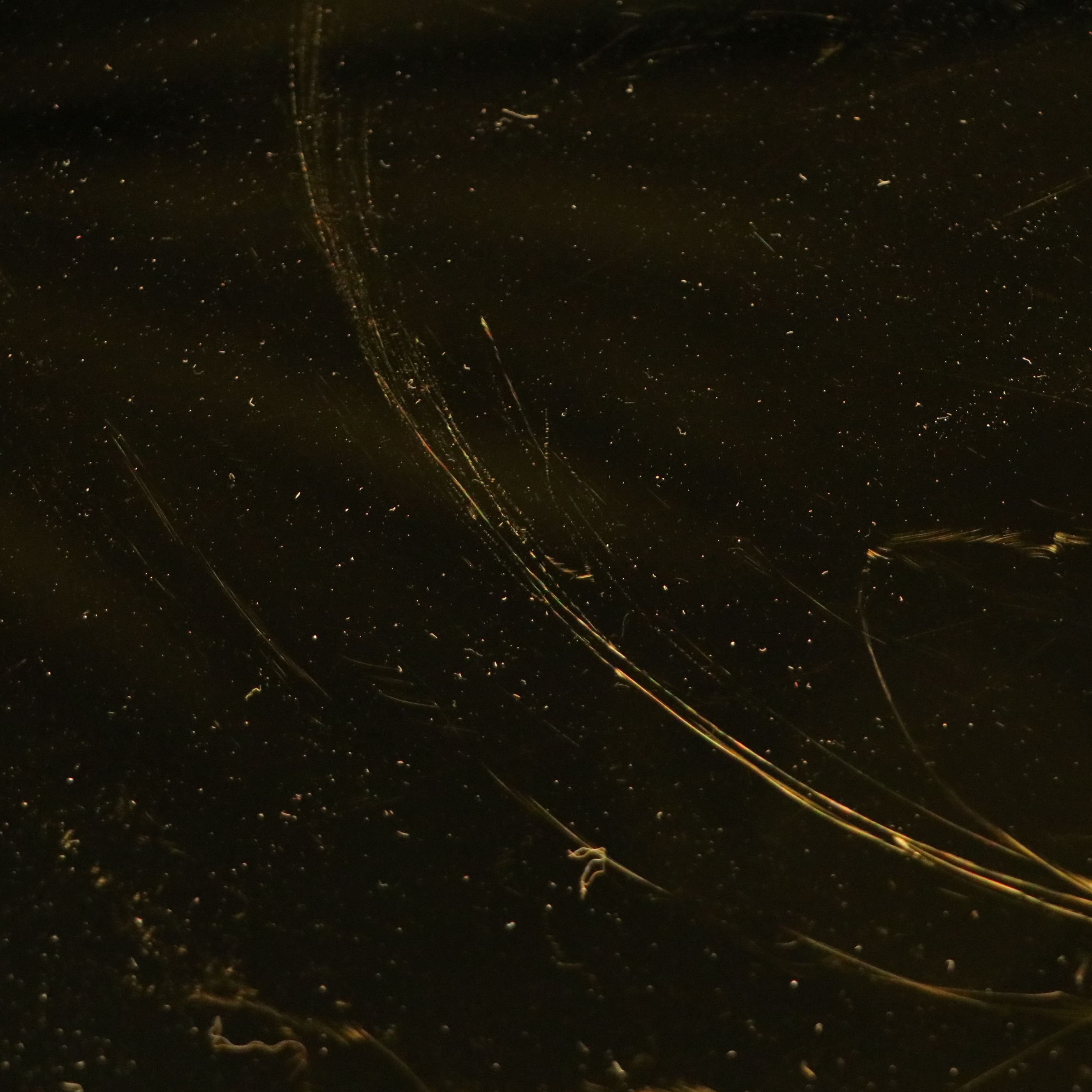 Pablo Designs Brass Bola Disc Pendant Light