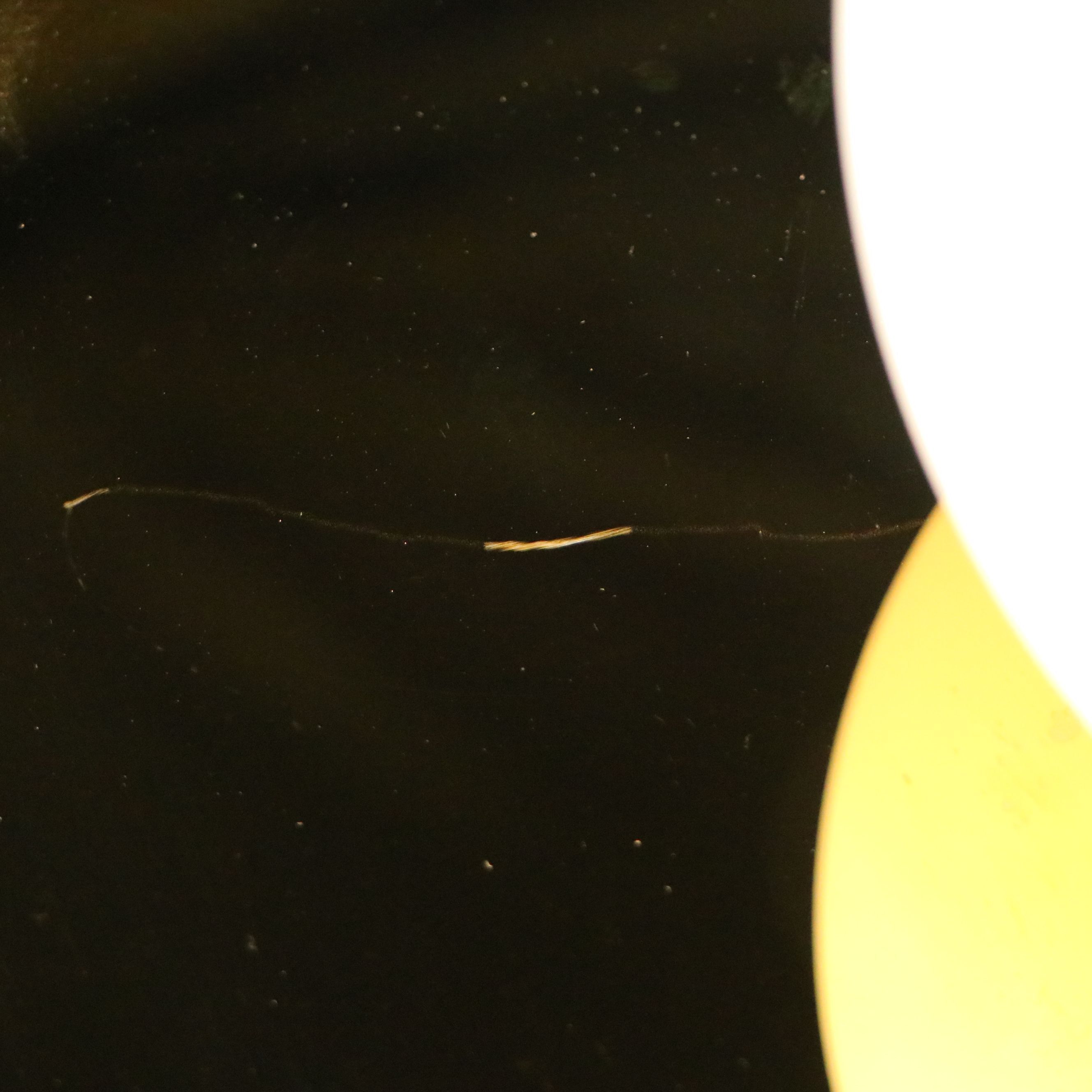 Pablo Designs Brass Bola Disc Pendant Light