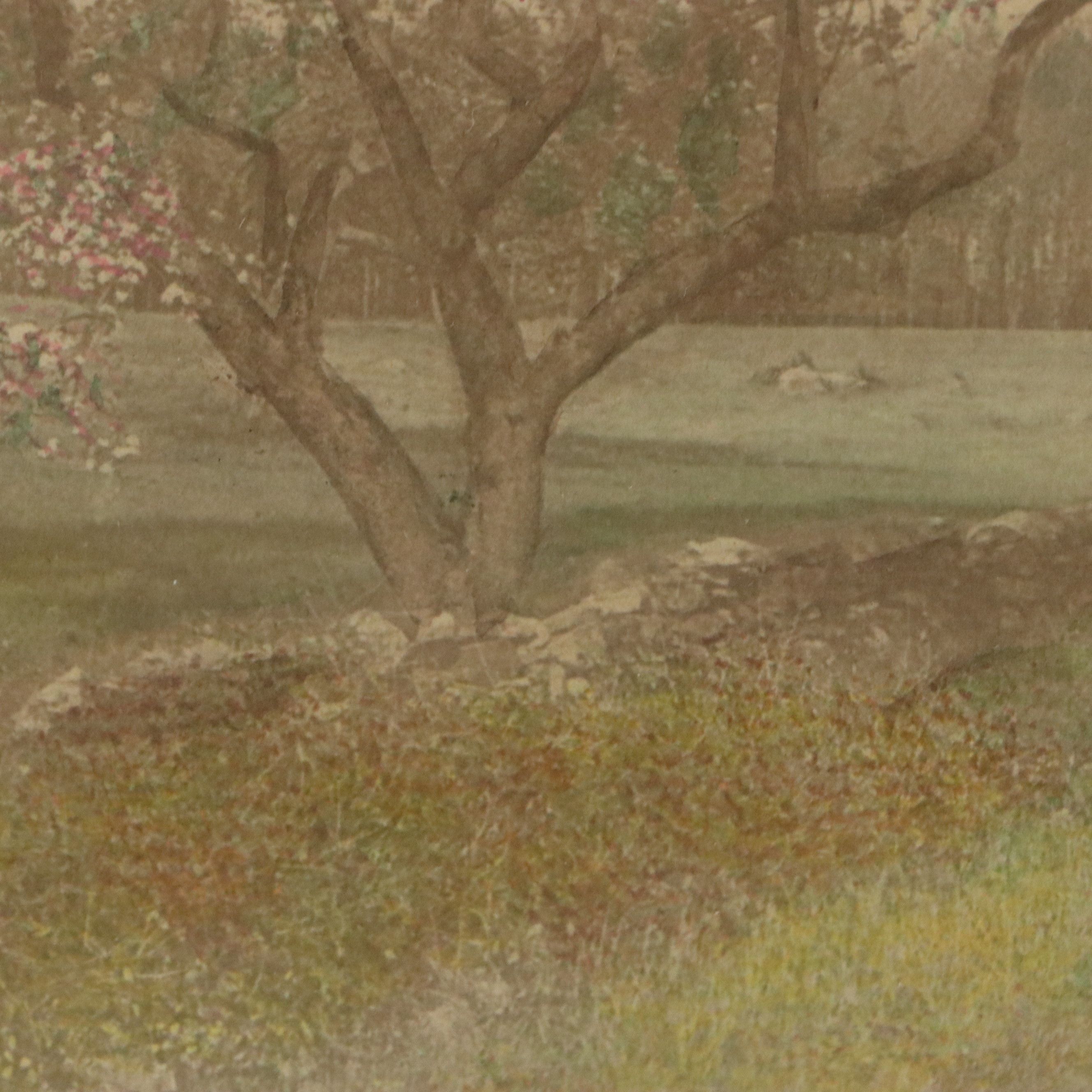 Wallace Nutting Hand-Colored Platinum Photograph "The World Beautiful"