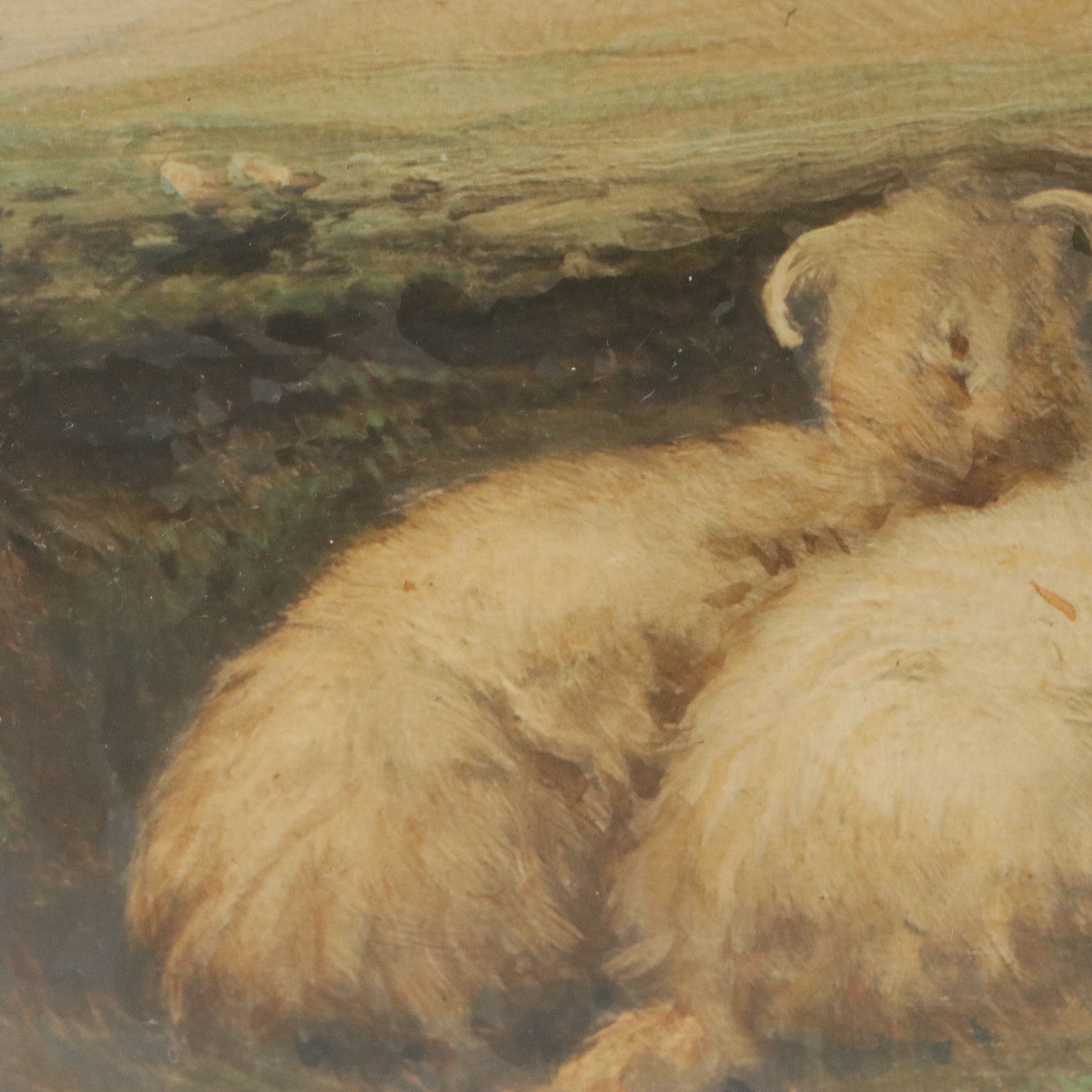 Gouache on Photograph of Sheep Resting in Scottish Highland Landscape