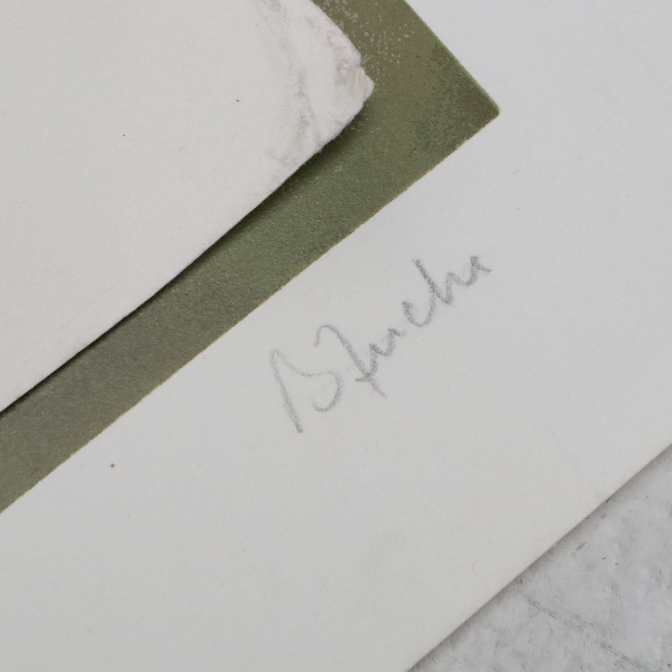 Uncommon Discoveries: A Seaside Getaway in Prints